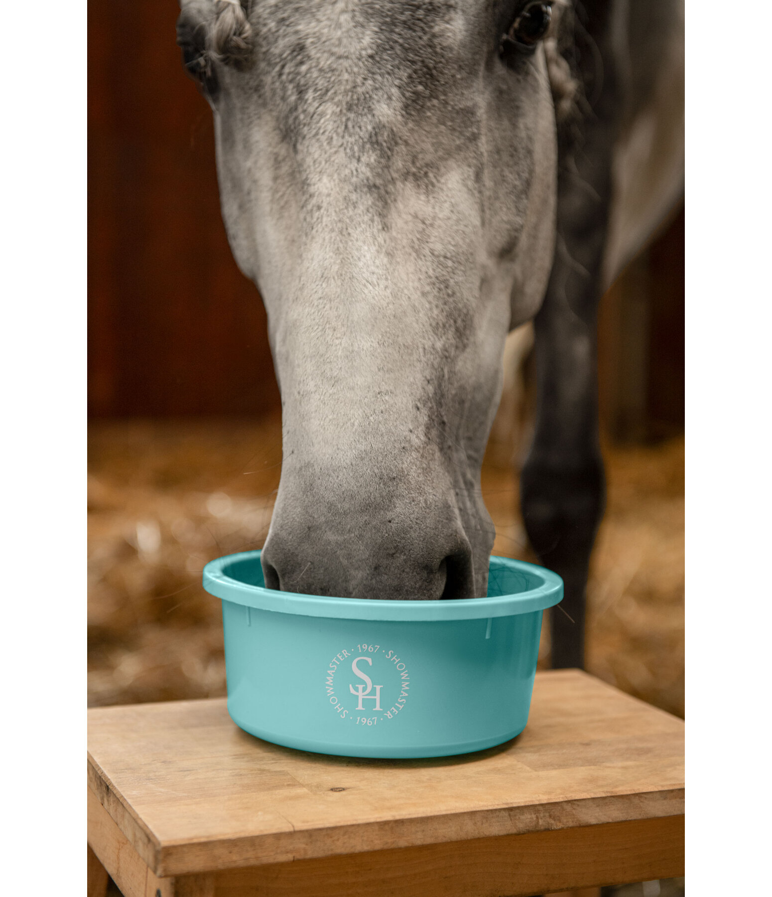 Small Muesli Bowl, 2 Litres