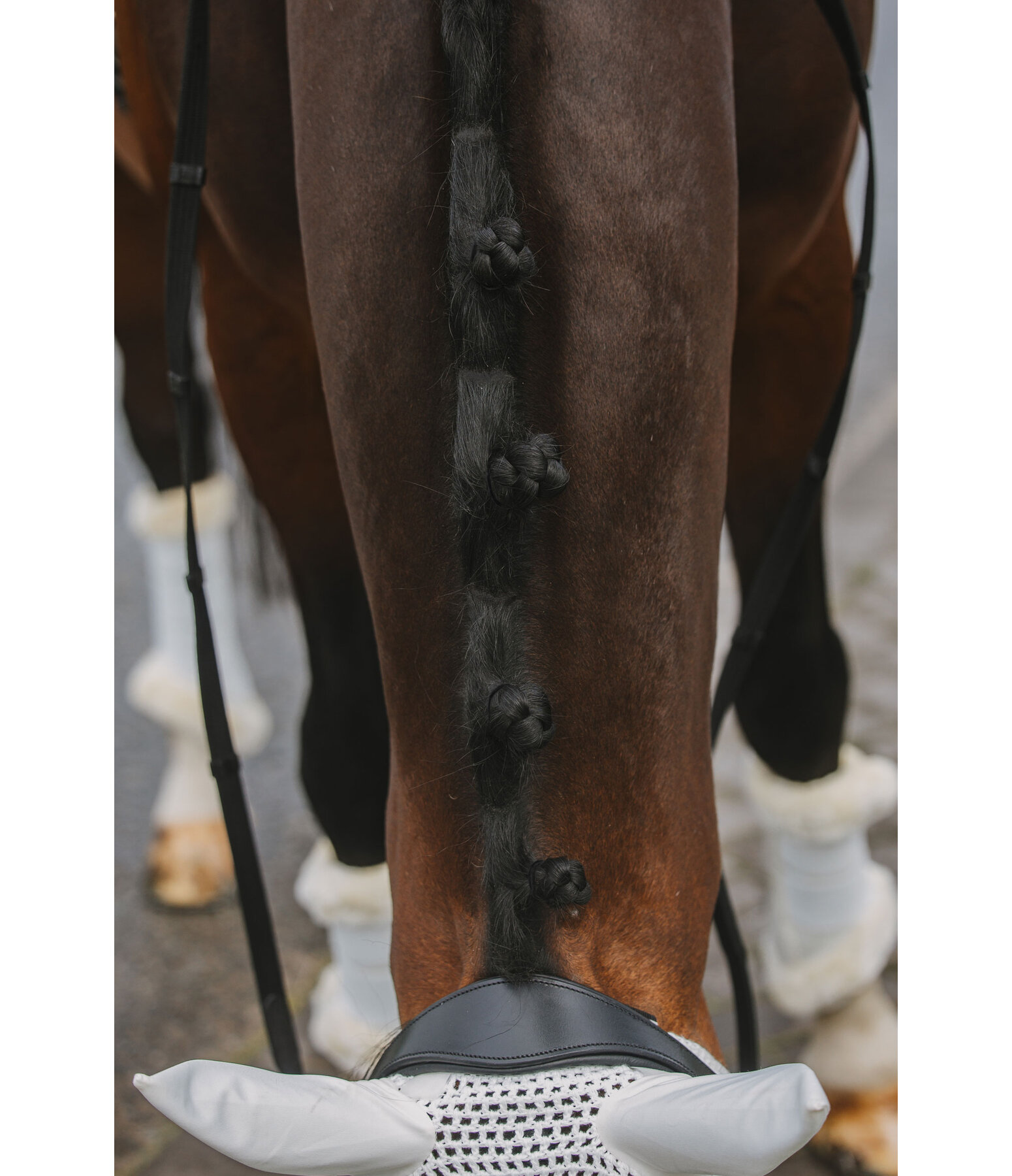 Wide Mane Plaiting Bands