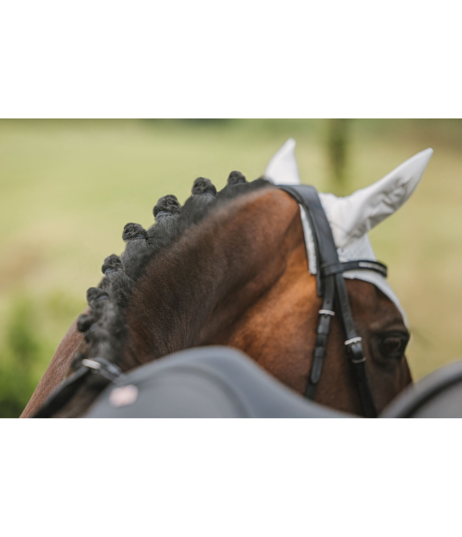 Wide Mane Plaiting Bands