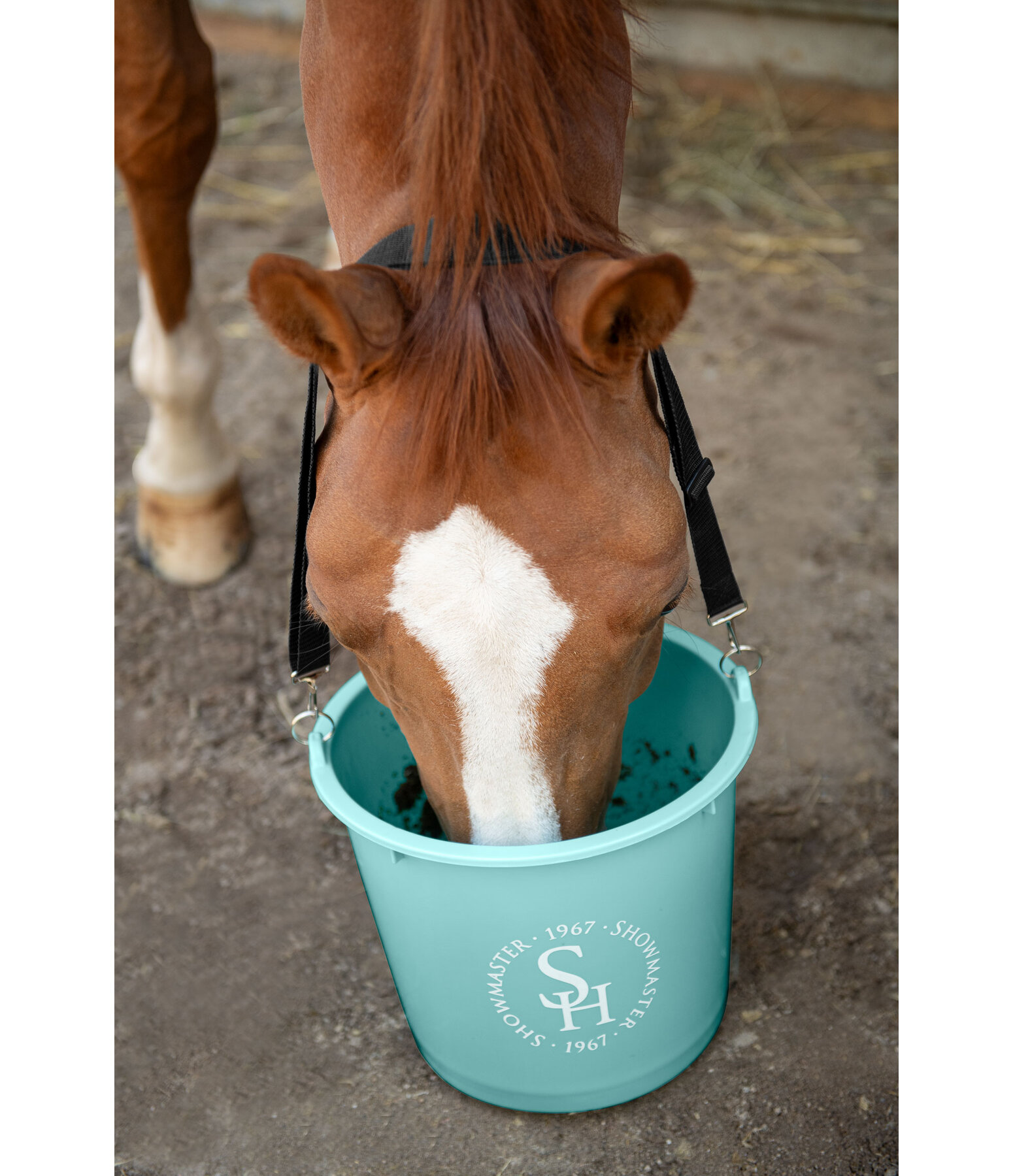 Feed Bucket with Strap