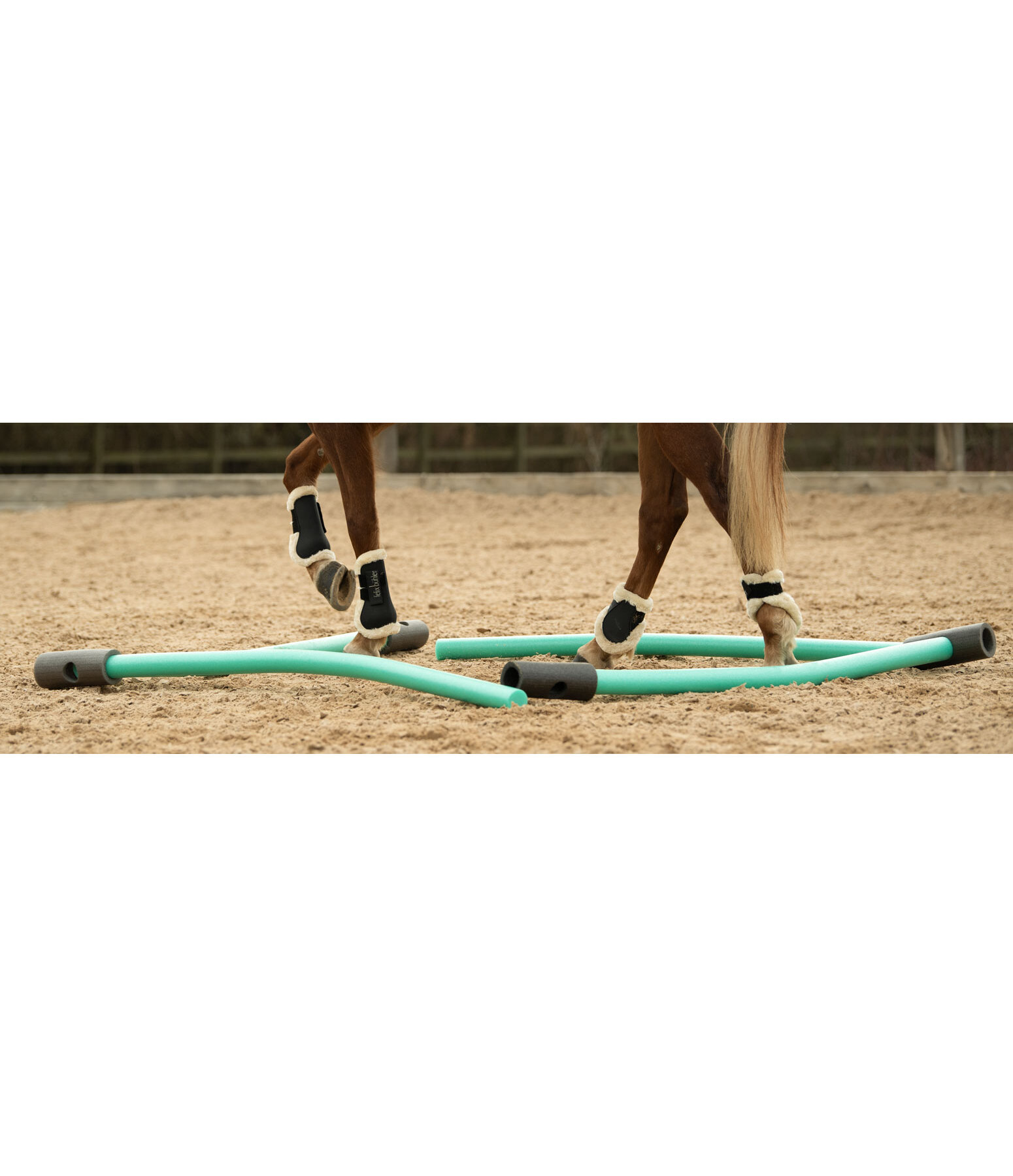 Foam Noodle for Horse Groundwork Arena Kramer Equestrian