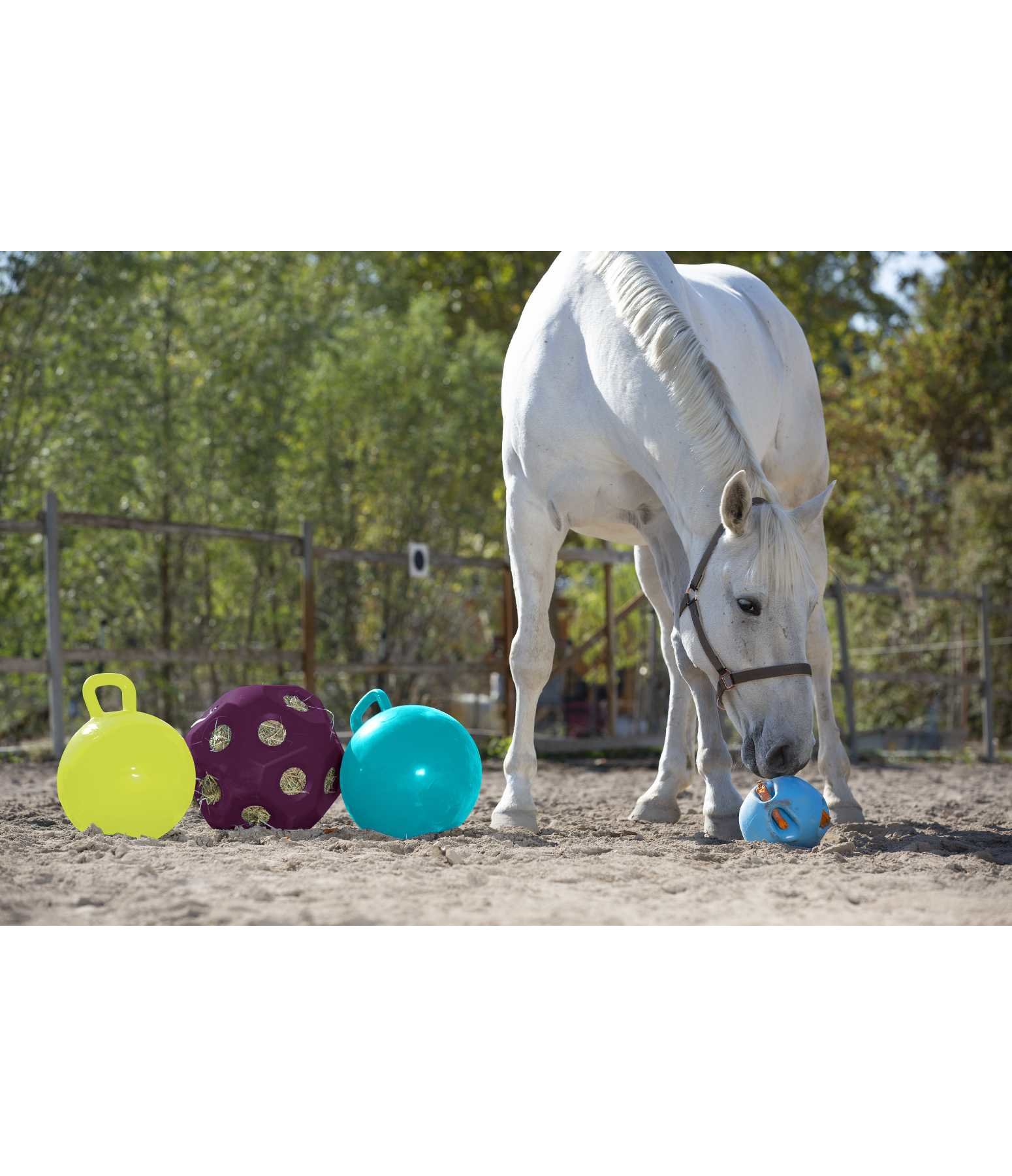 Carrotball Toys for Horses Kramer Equestrian