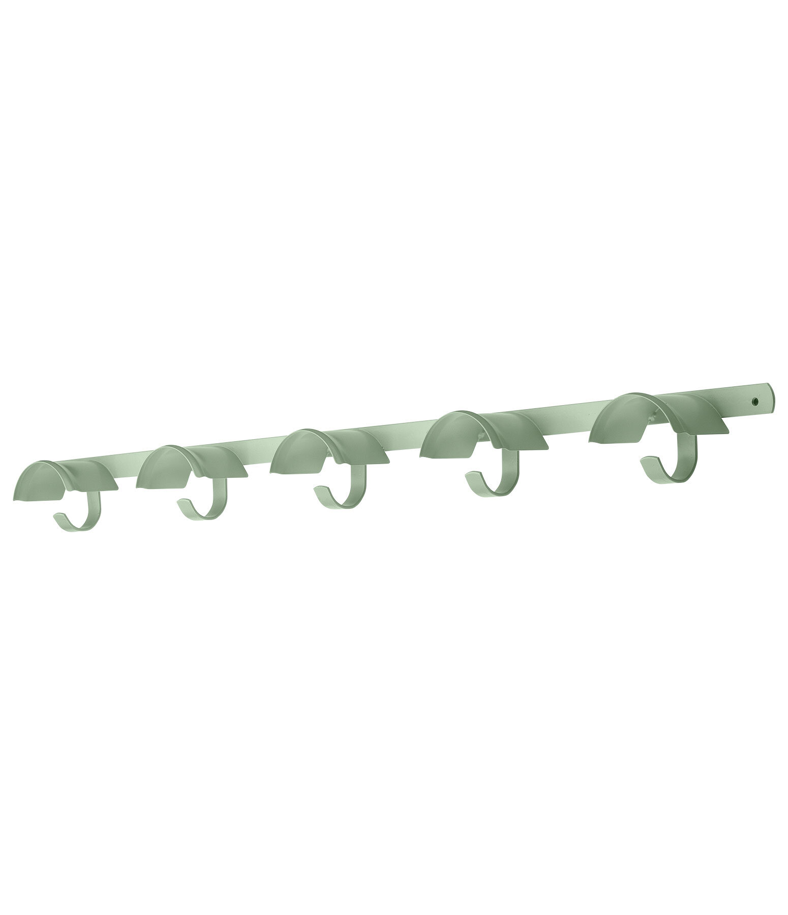 Bridle Rail 5+5