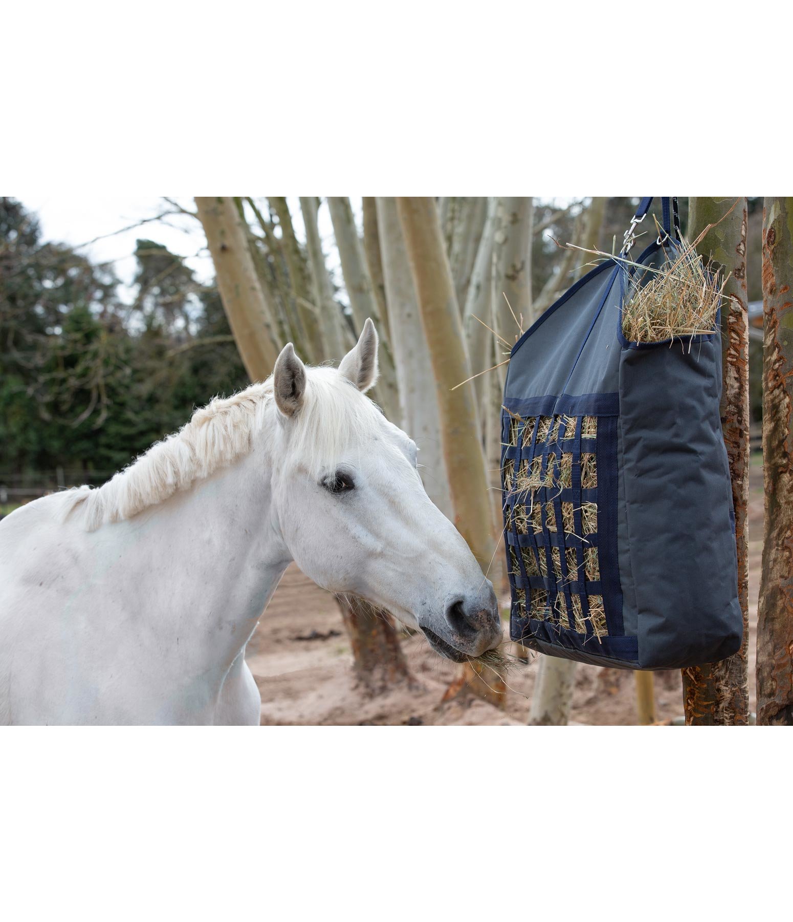 Hay Bag Feeder II