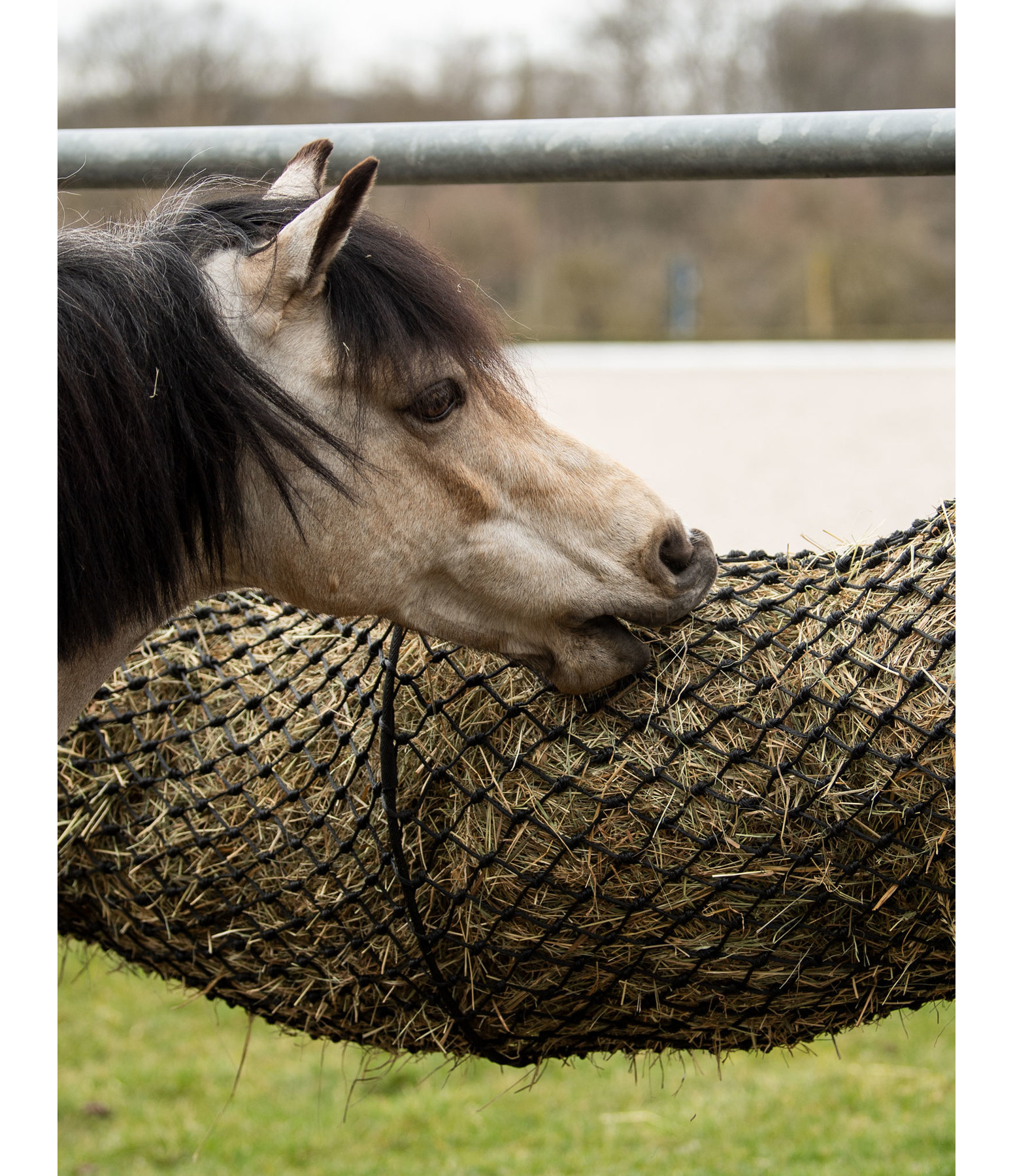 Hay Tunnel