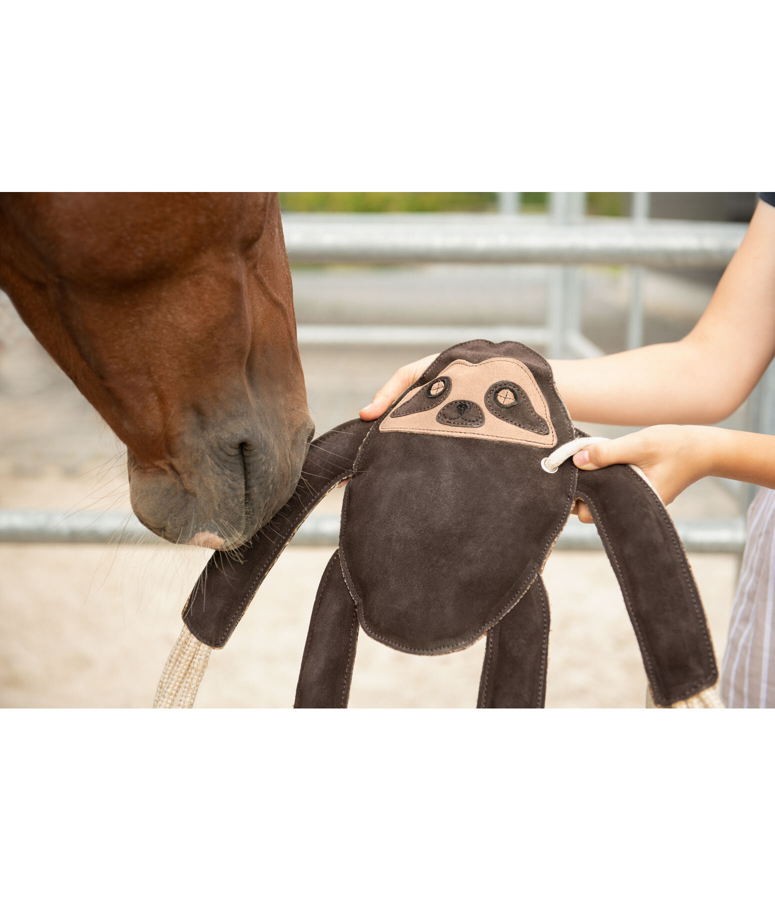 Horse Toy Sloth