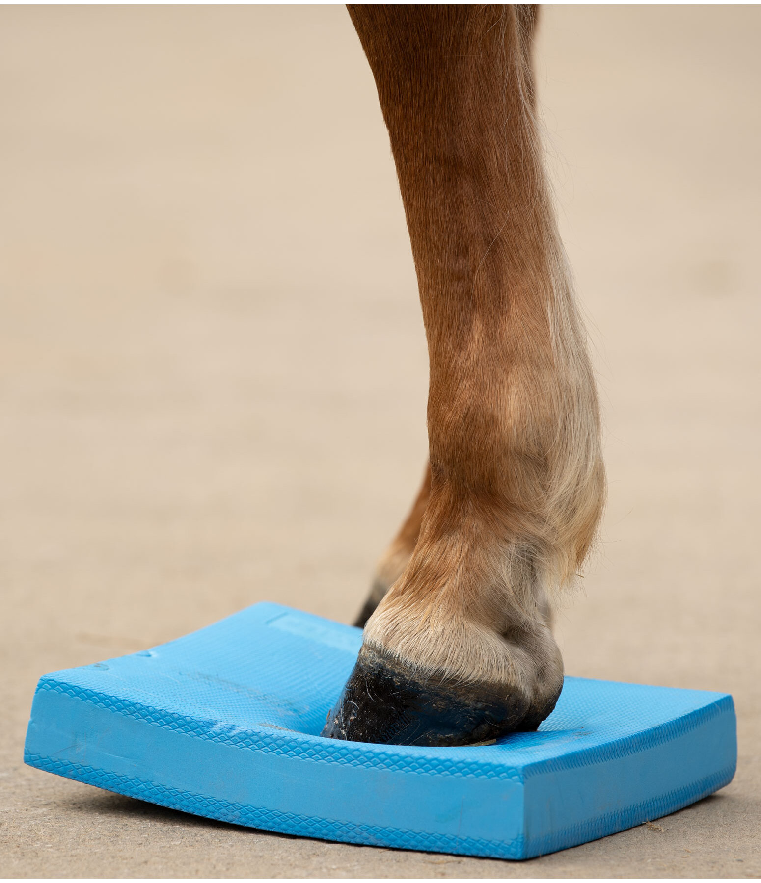 Balance Pad Stable & Arena Kramer Equestrian