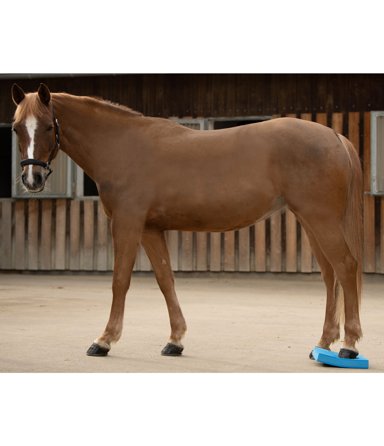 Balance Pad Stable & Arena Kramer Equestrian