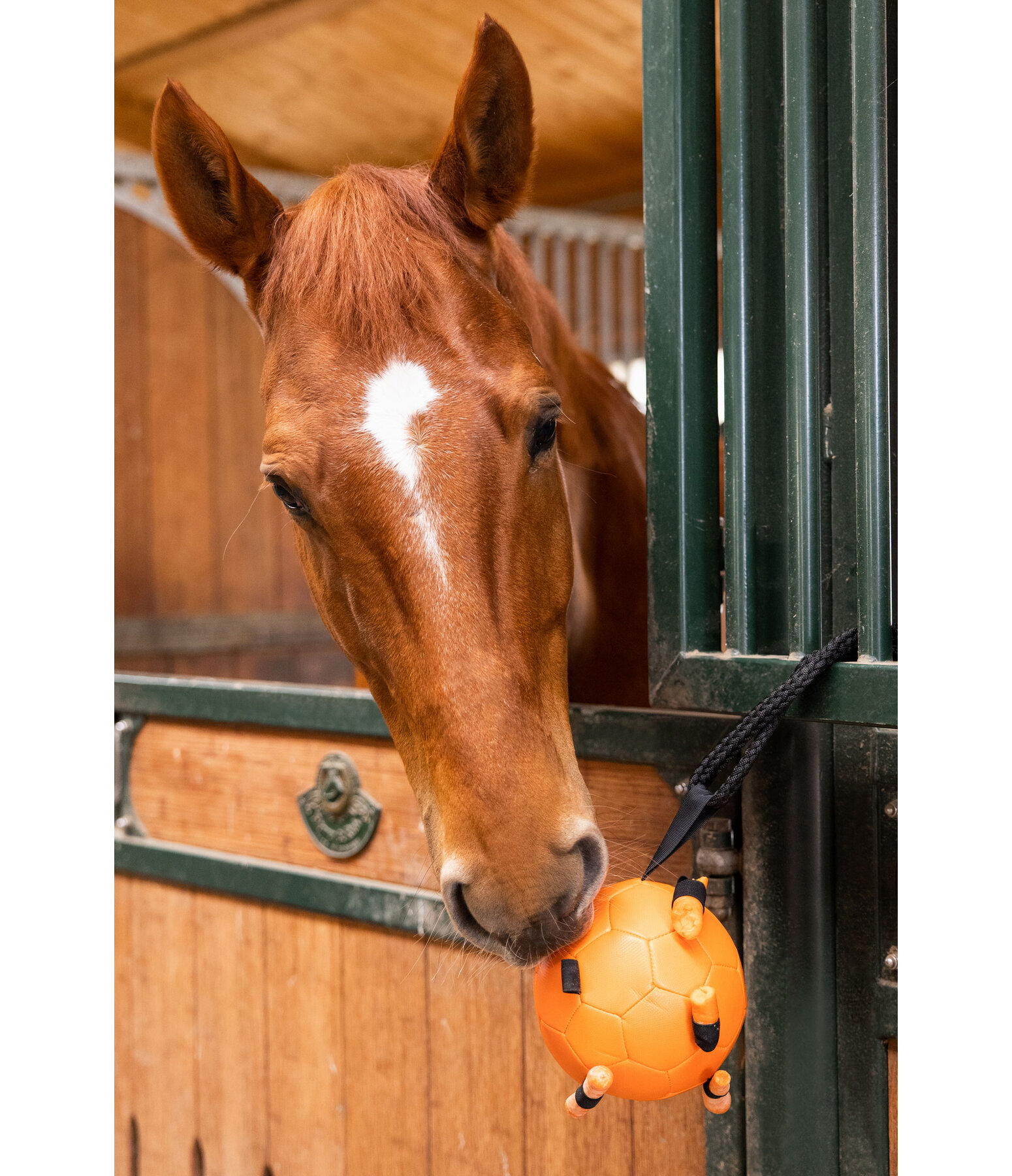 Horse carrot ball online