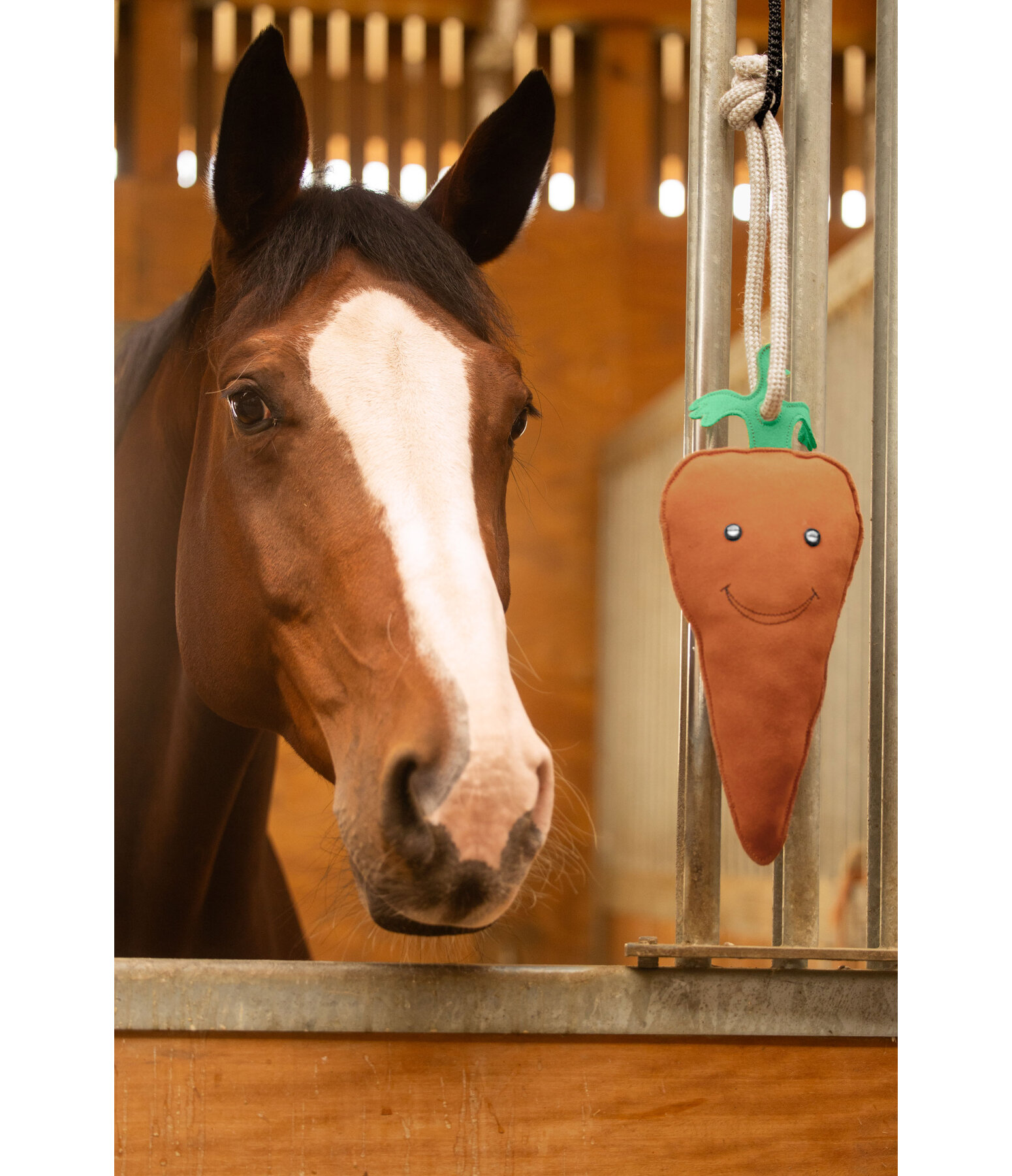 Horse Toy Carrot