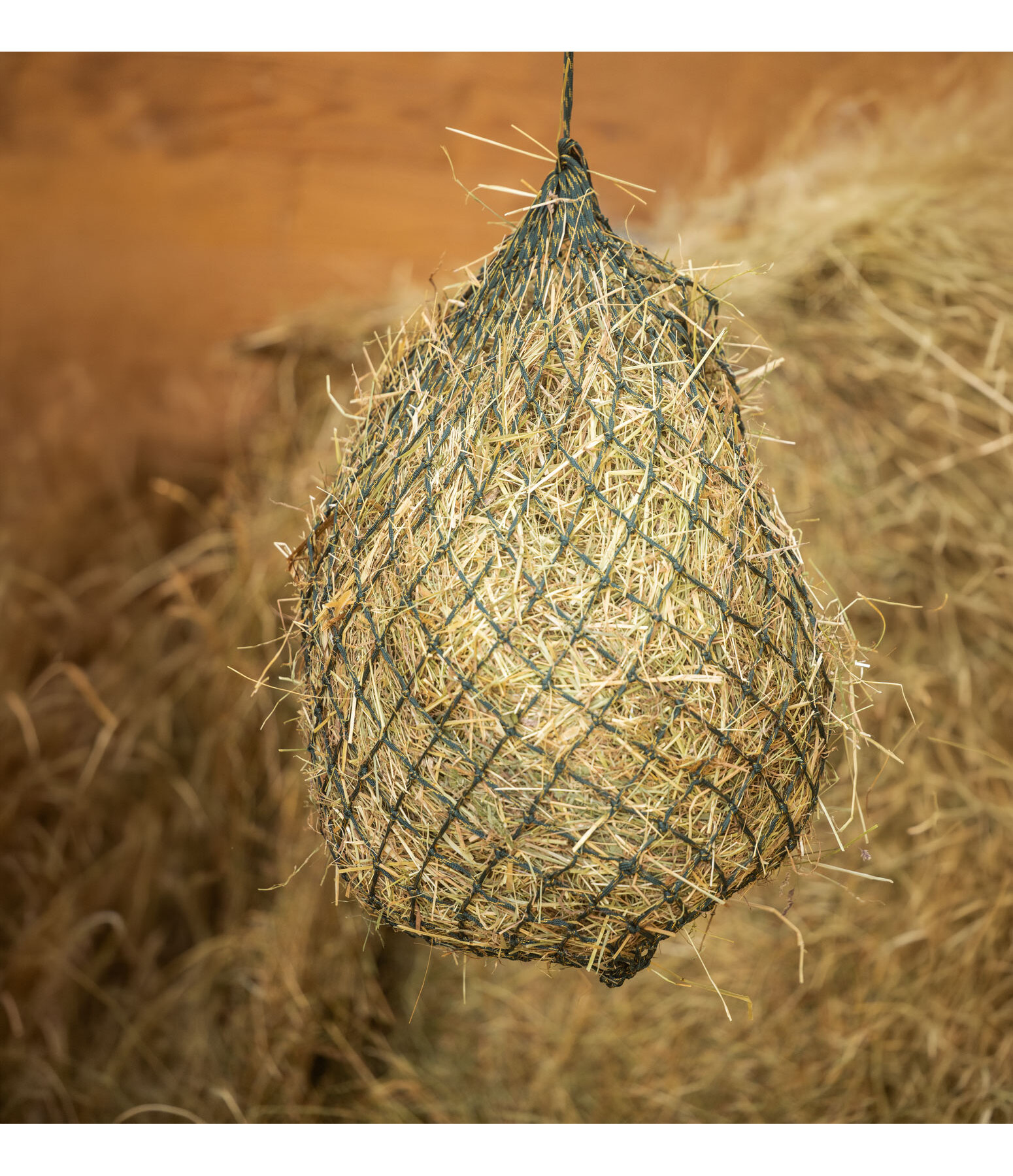 Haynet Glitter