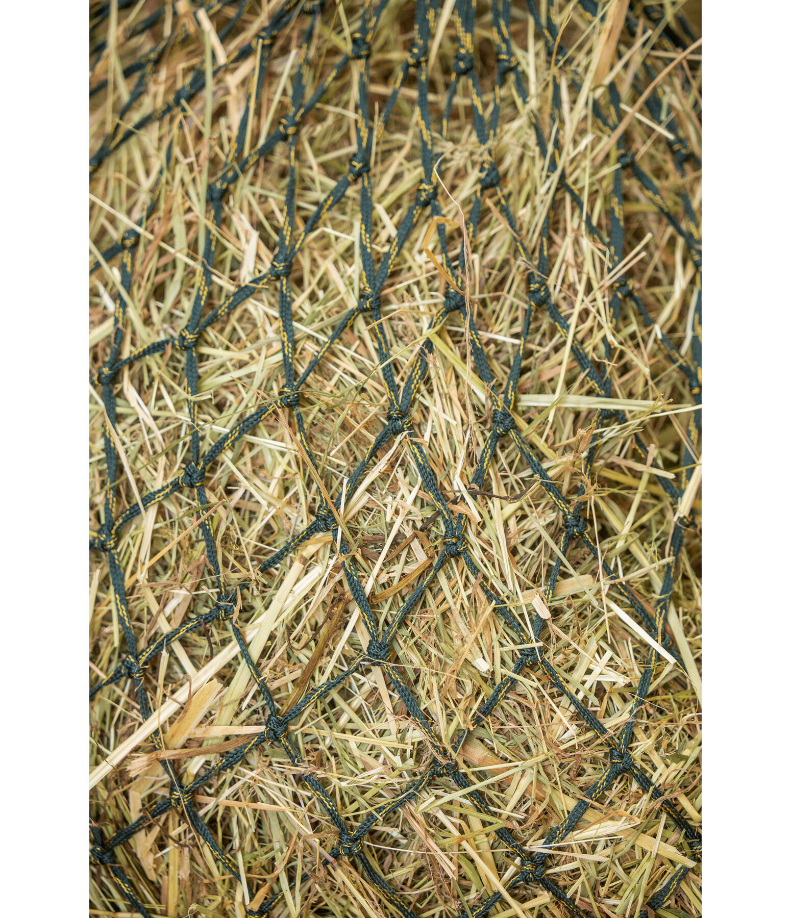 Haynet Glitter