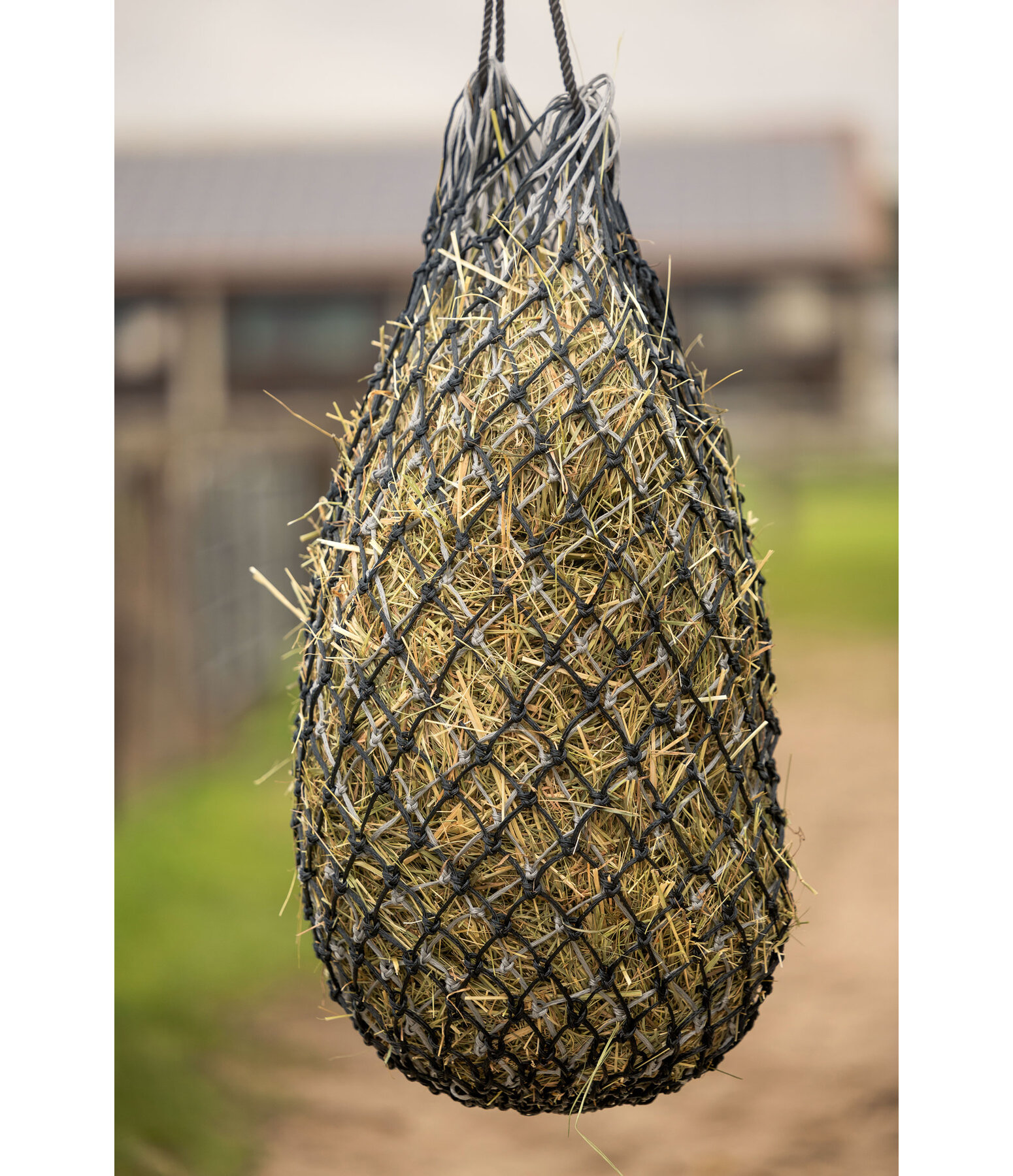Double-Layer Haynet