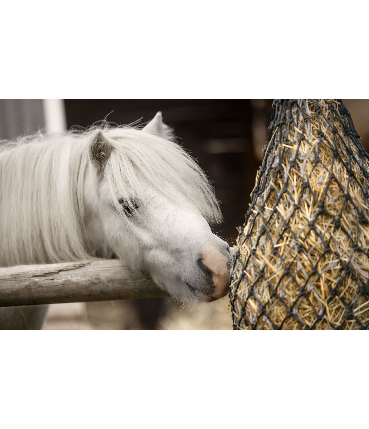 Double-Layer Haynet