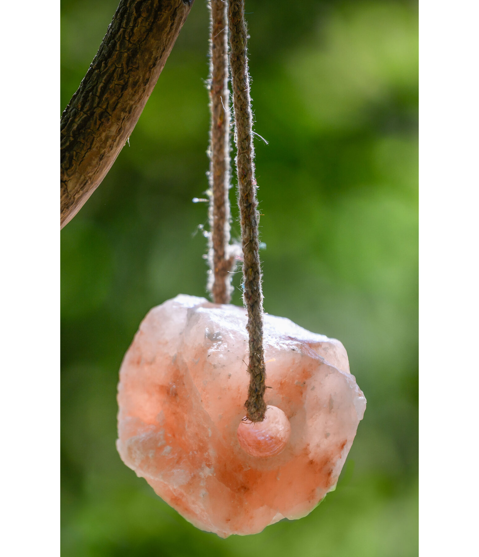 Salt Lick Large Horse Licks Kramer Equestrian