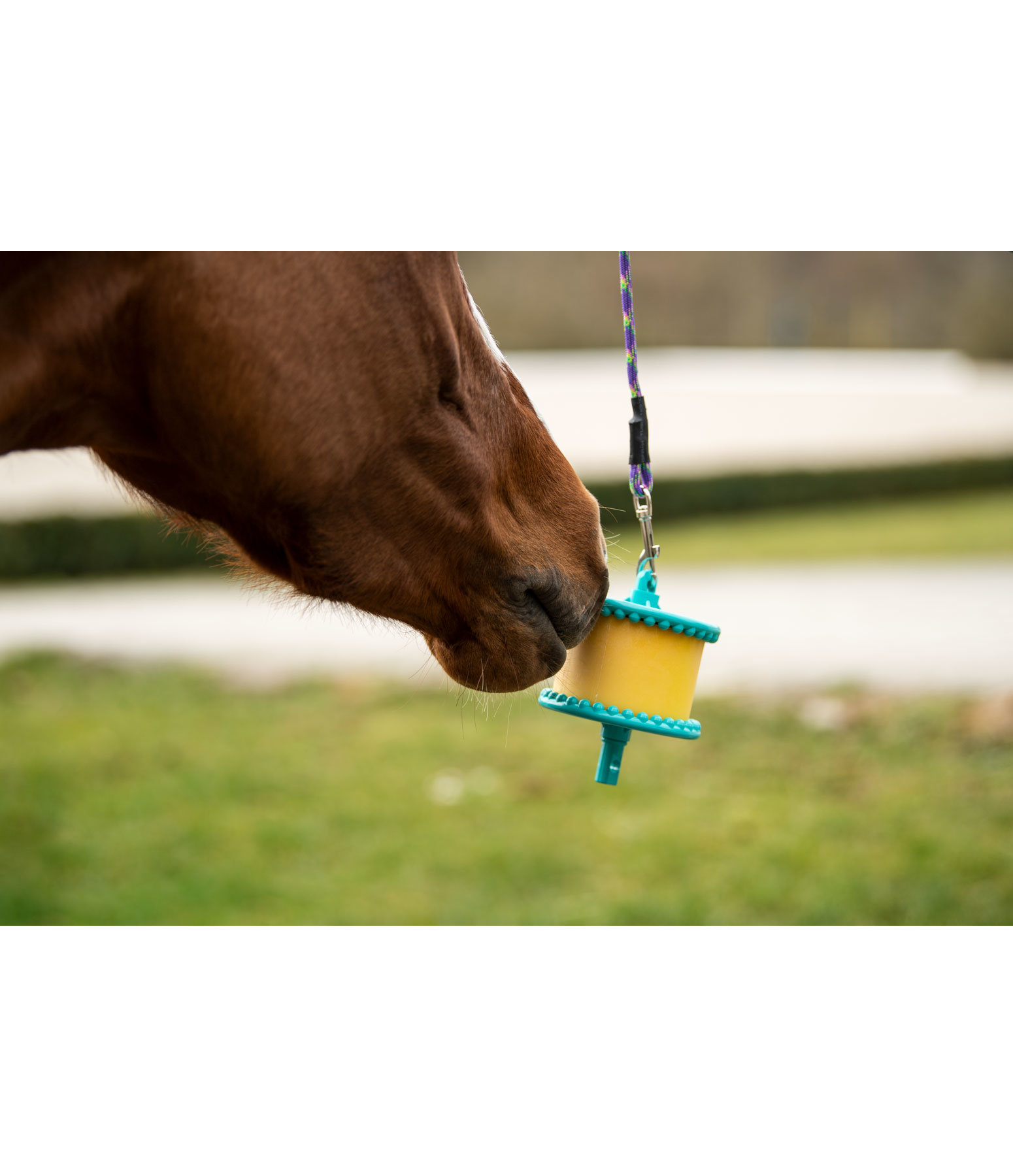 Holder Horse Feed & Supplements Kramer Equestrian