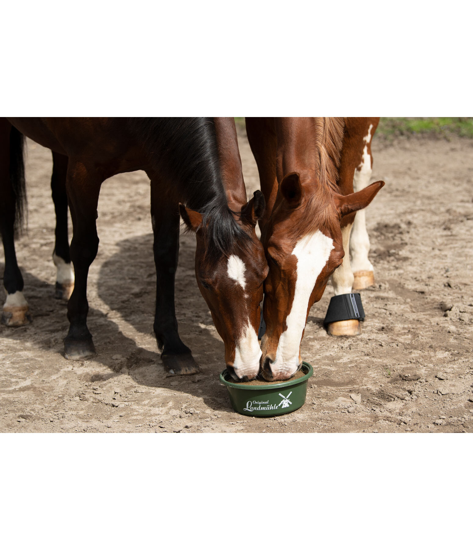 Mineral Lick Bowl Bronchial