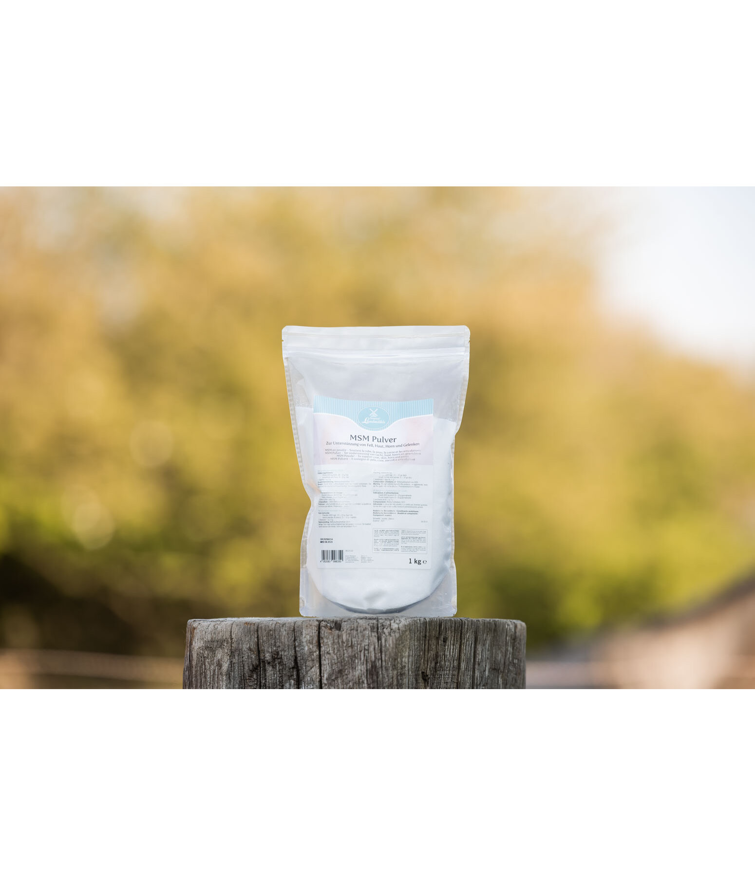 MSM Powder