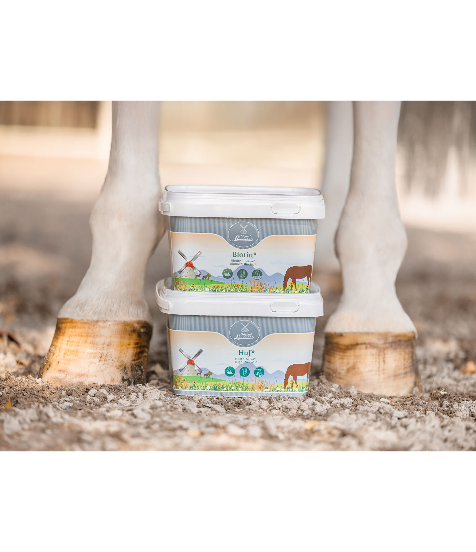 Hoof +