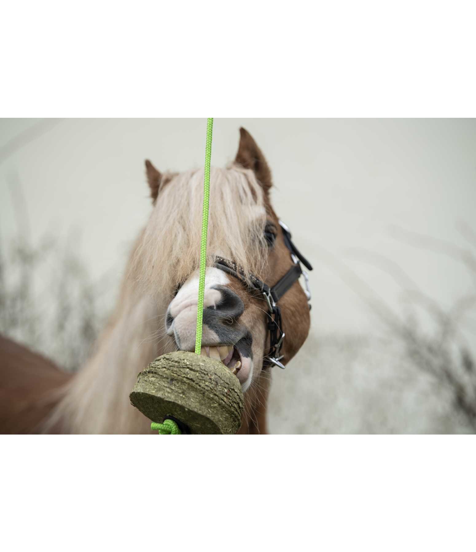 Hay Ball Nature Toys for Horses Kramer Equestrian