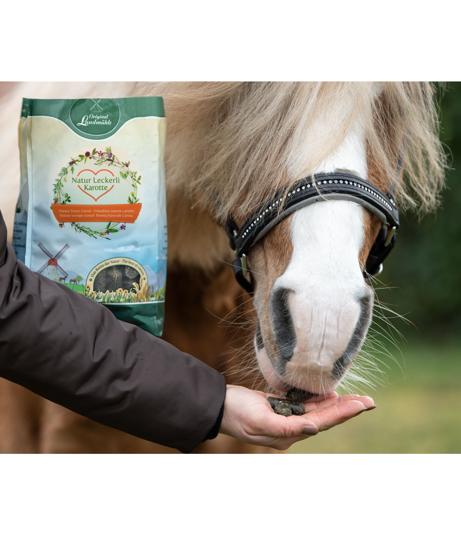 Nature Treats Carrot