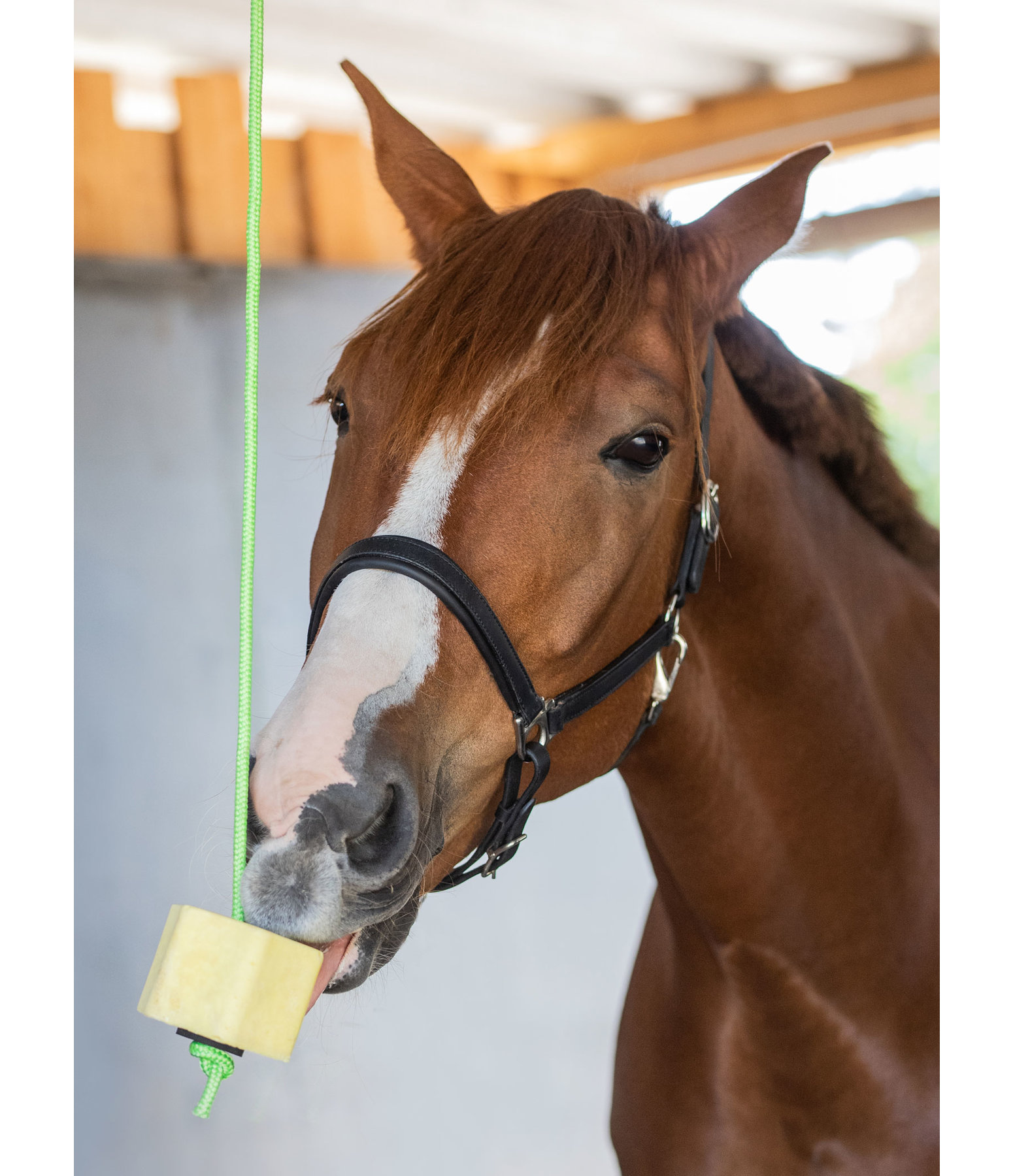 Lolly Lick Banana