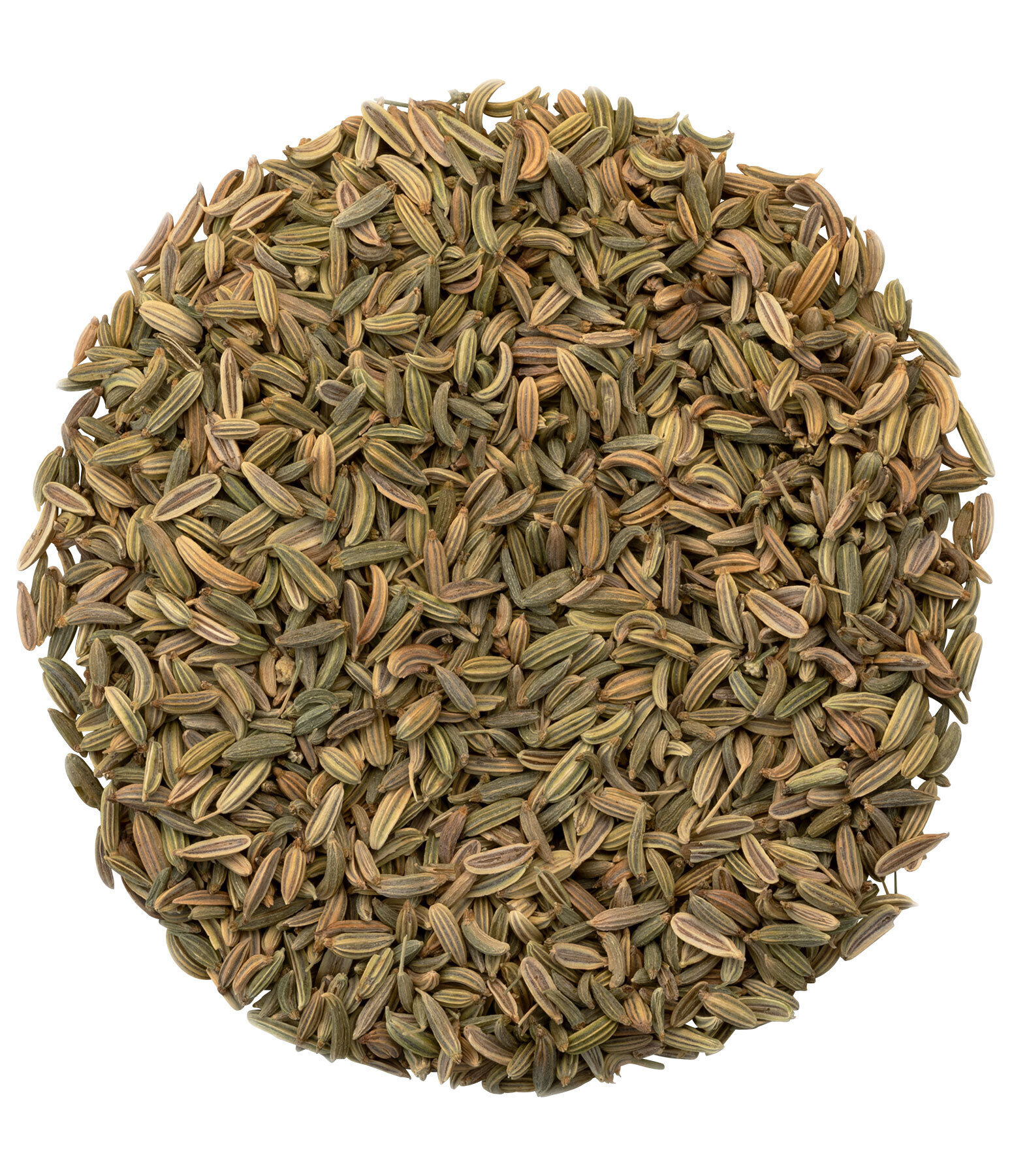 Fennel Seeds