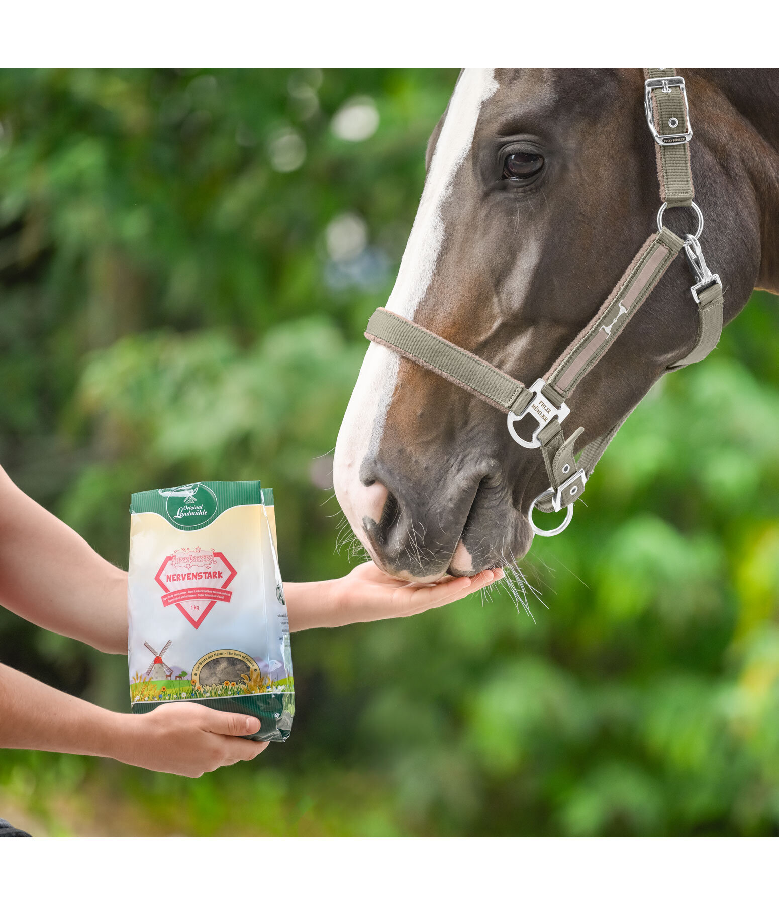 SuperTreats Strong Nerves
