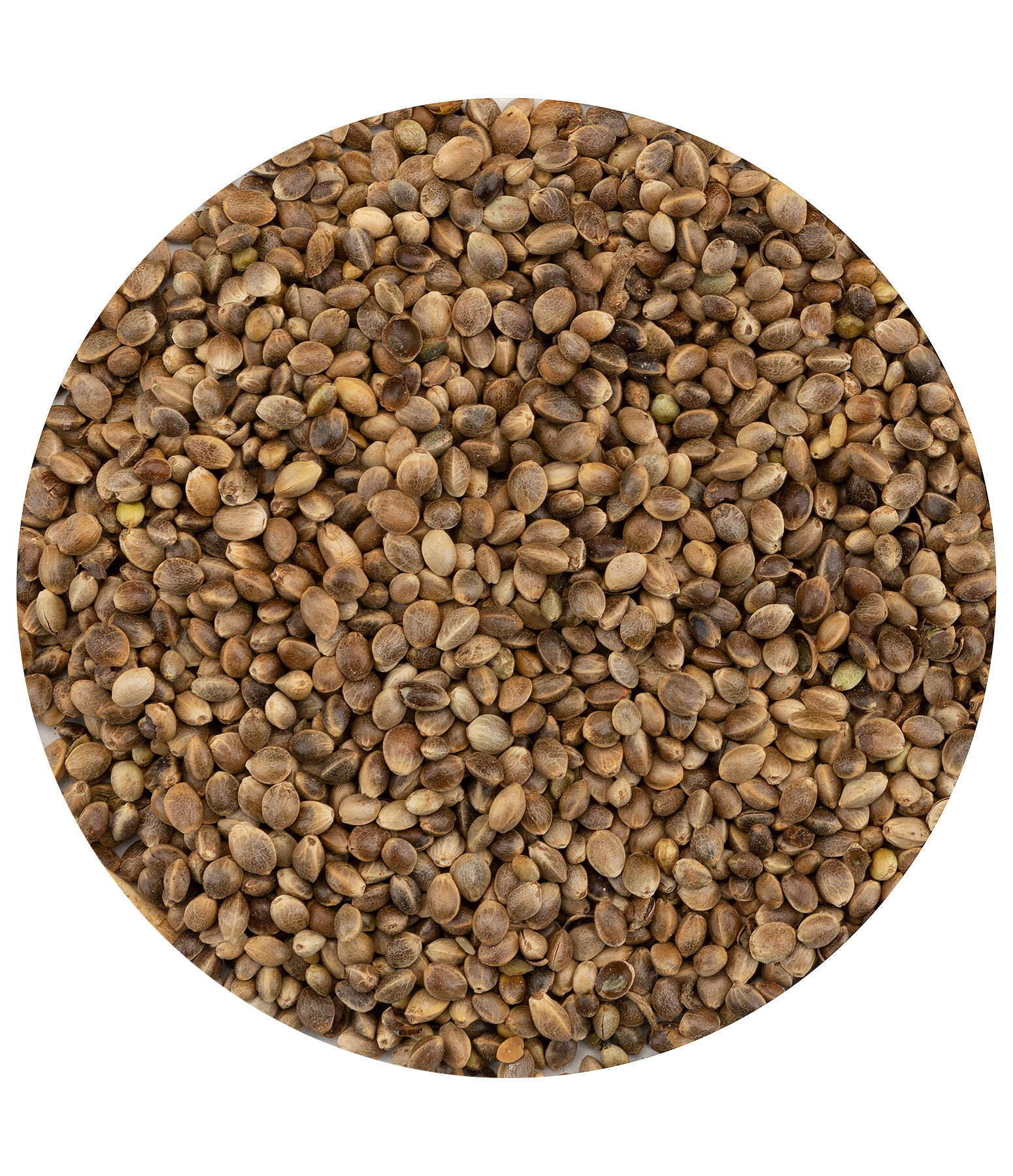 Hemp Seeds