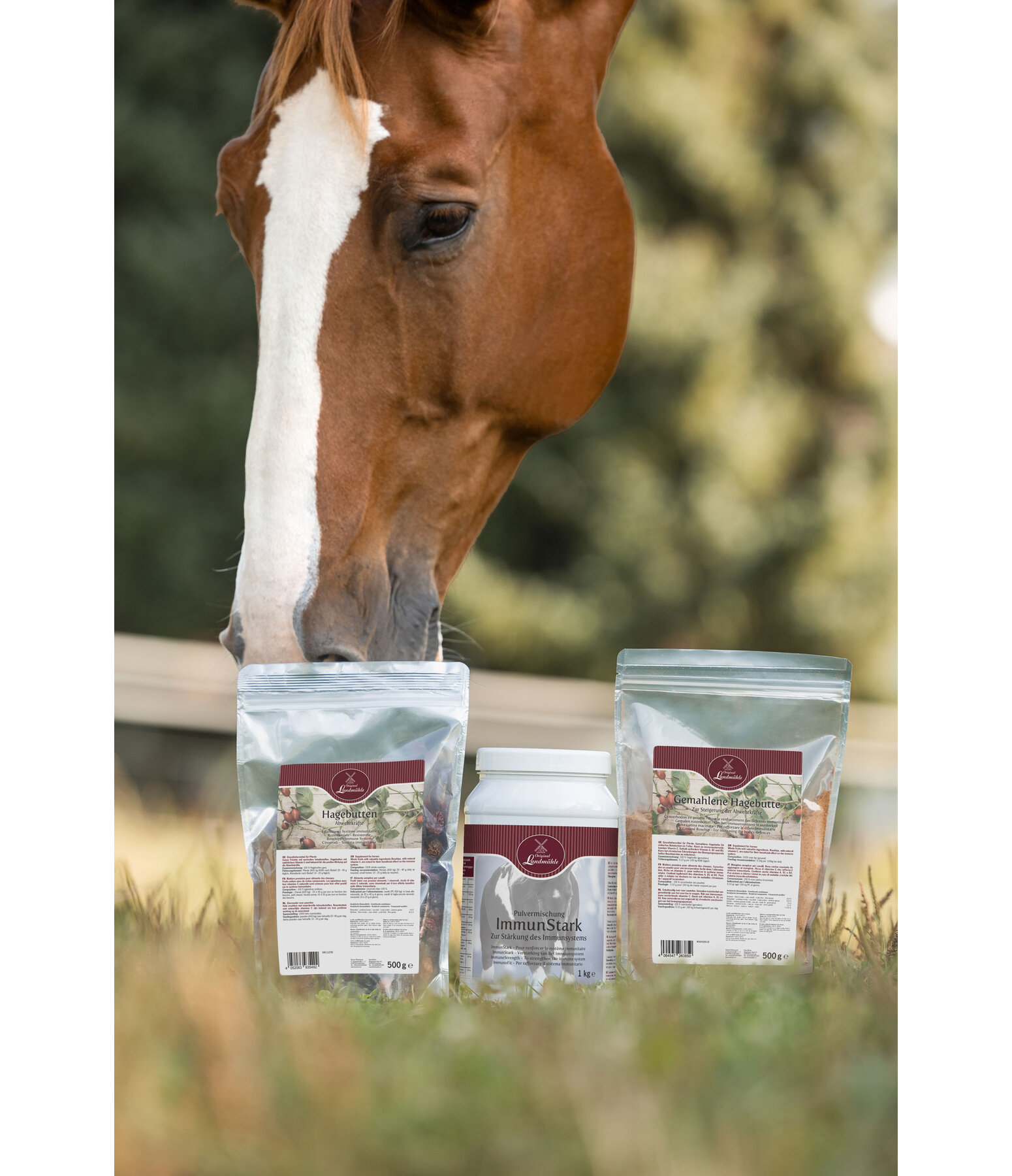 Powder Blend ImmuneStrength