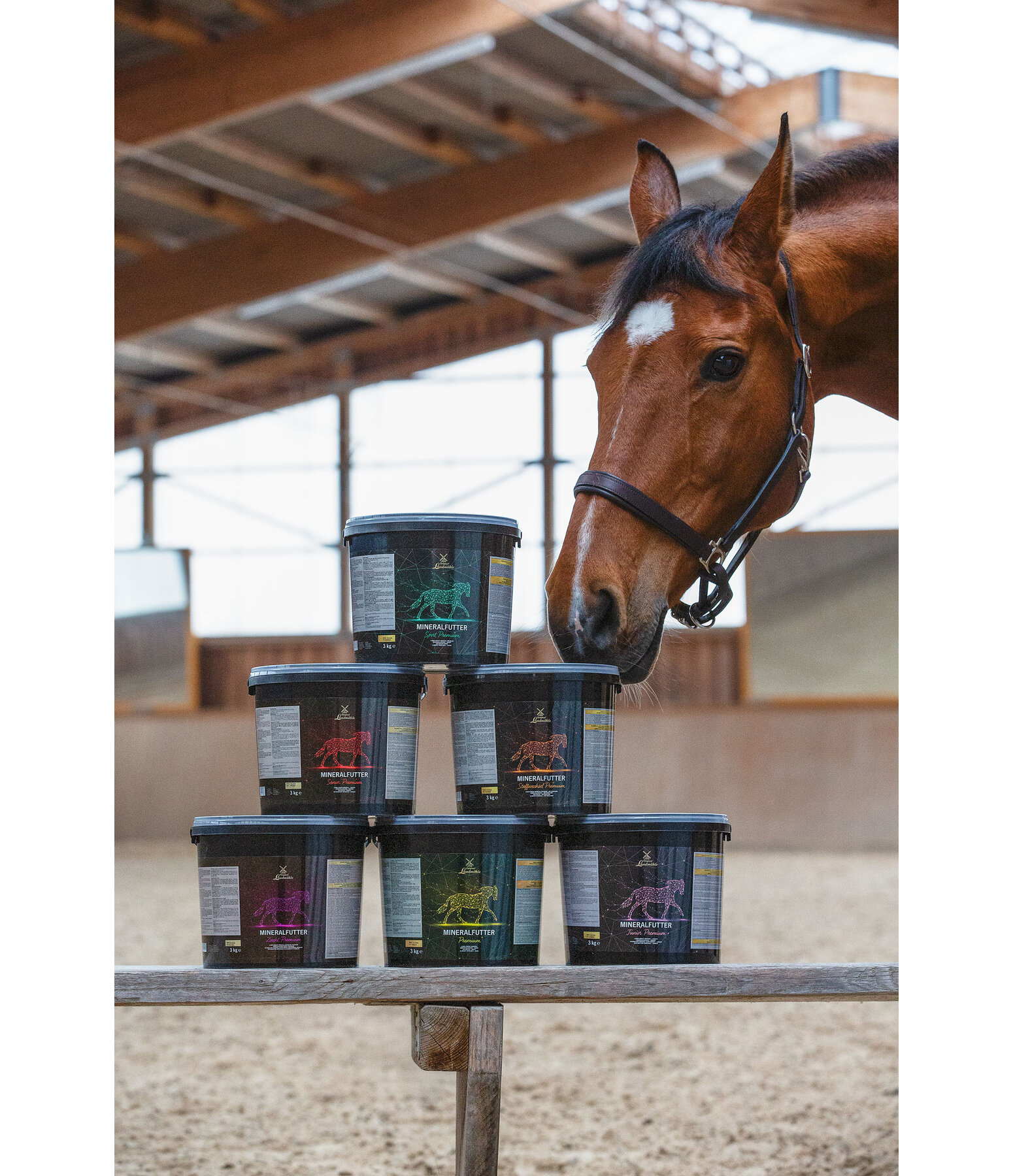 Vitamin and Mineral Supplement Broodmare Premium