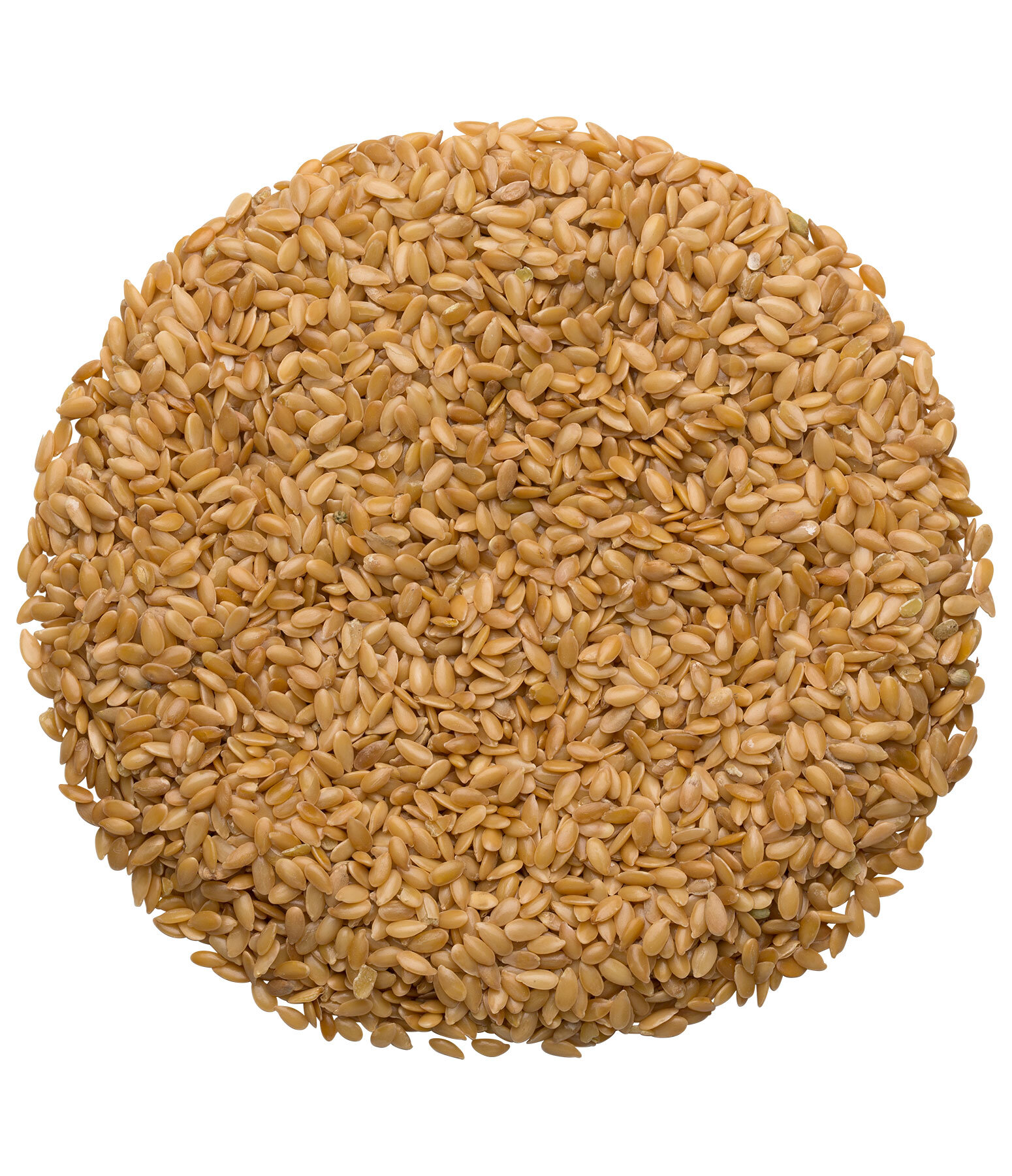 Yellow Linseed