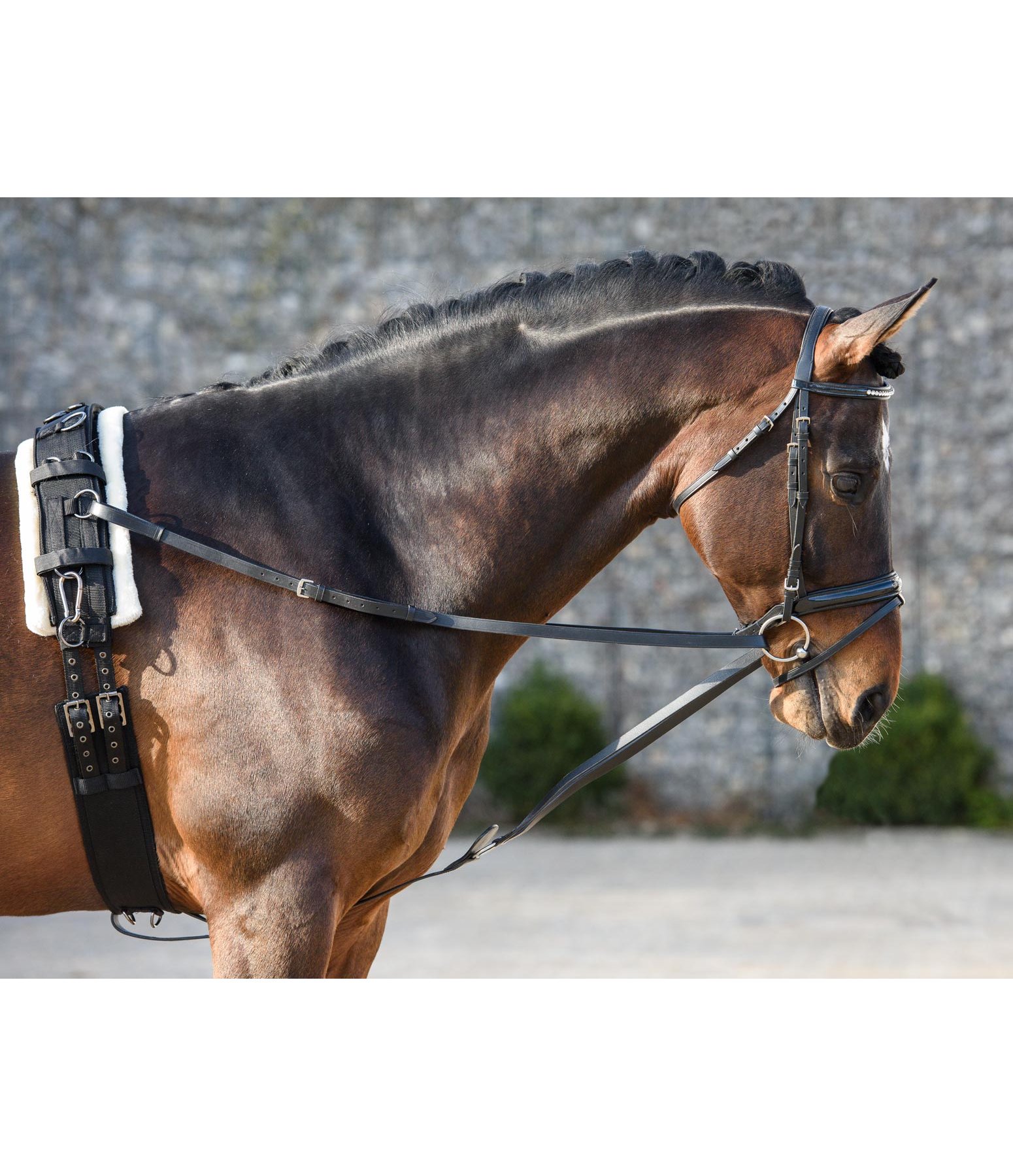 Running Side Reins Lungeing & Schooling Aids Kramer Equestrian