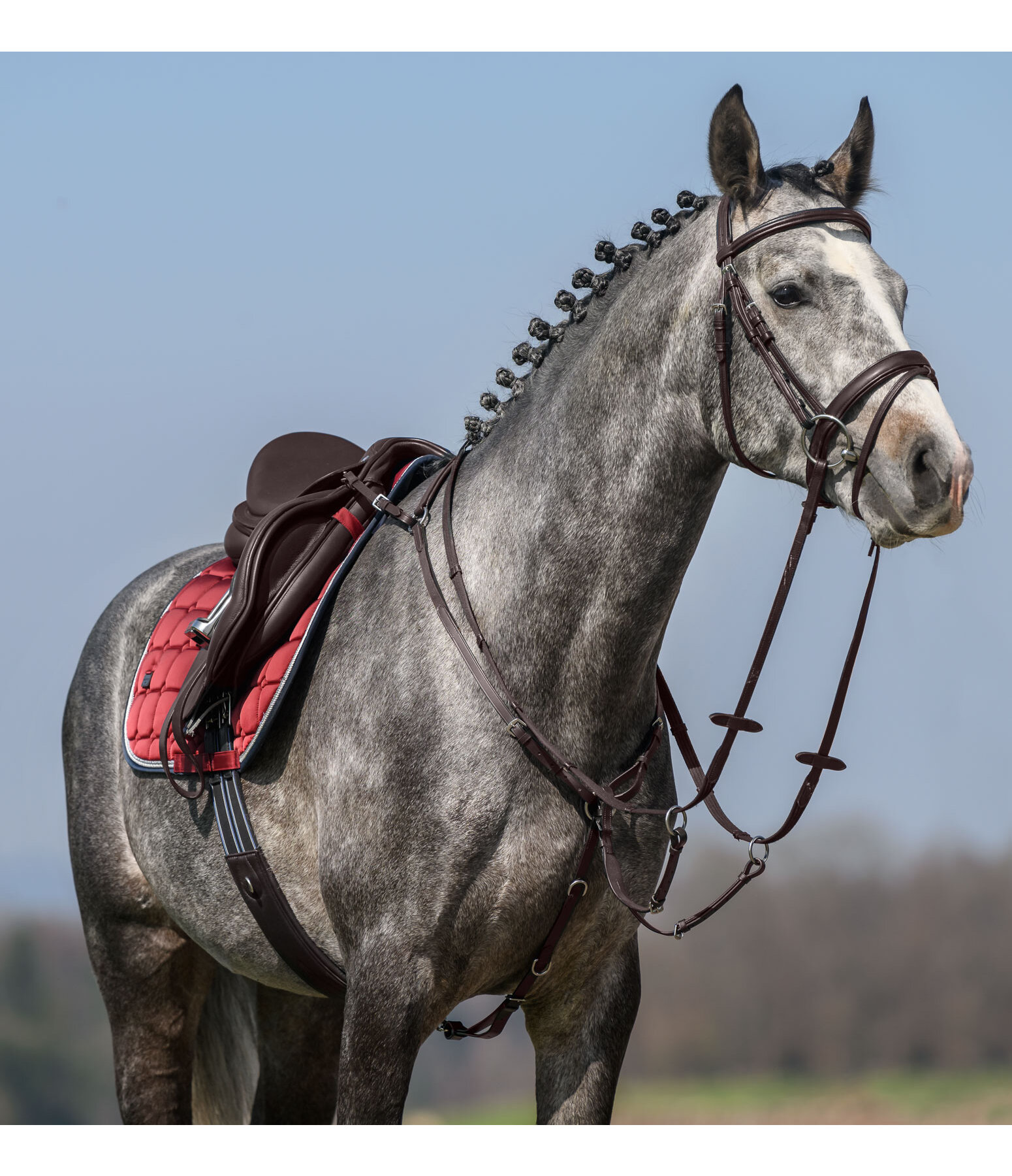 Elastic Breastplate Parcours