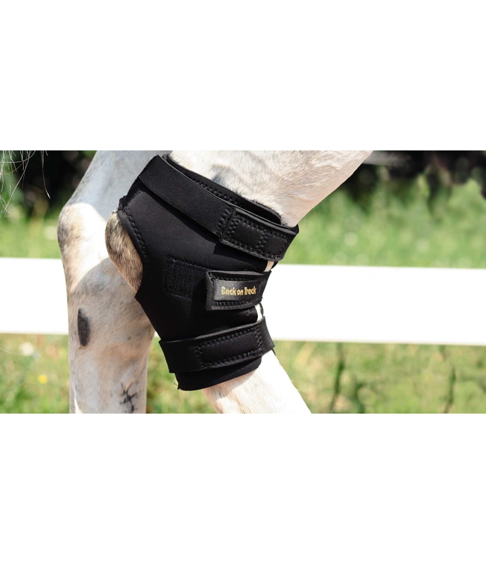 Hock Boot Back on Track for Horses Kramer Equestrian