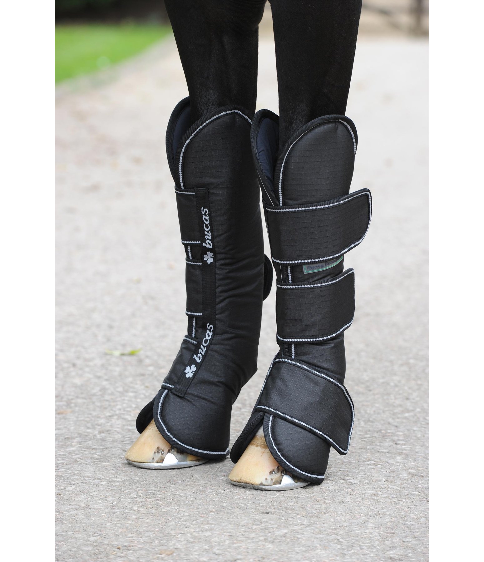 critical expedition travel boots