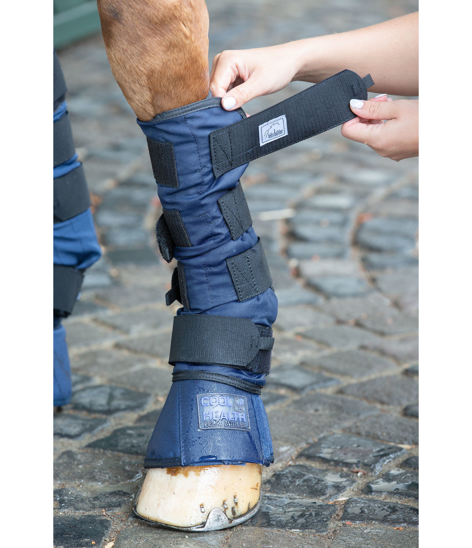 Cold Water Boots Therapy Boots Kramer Equestrian