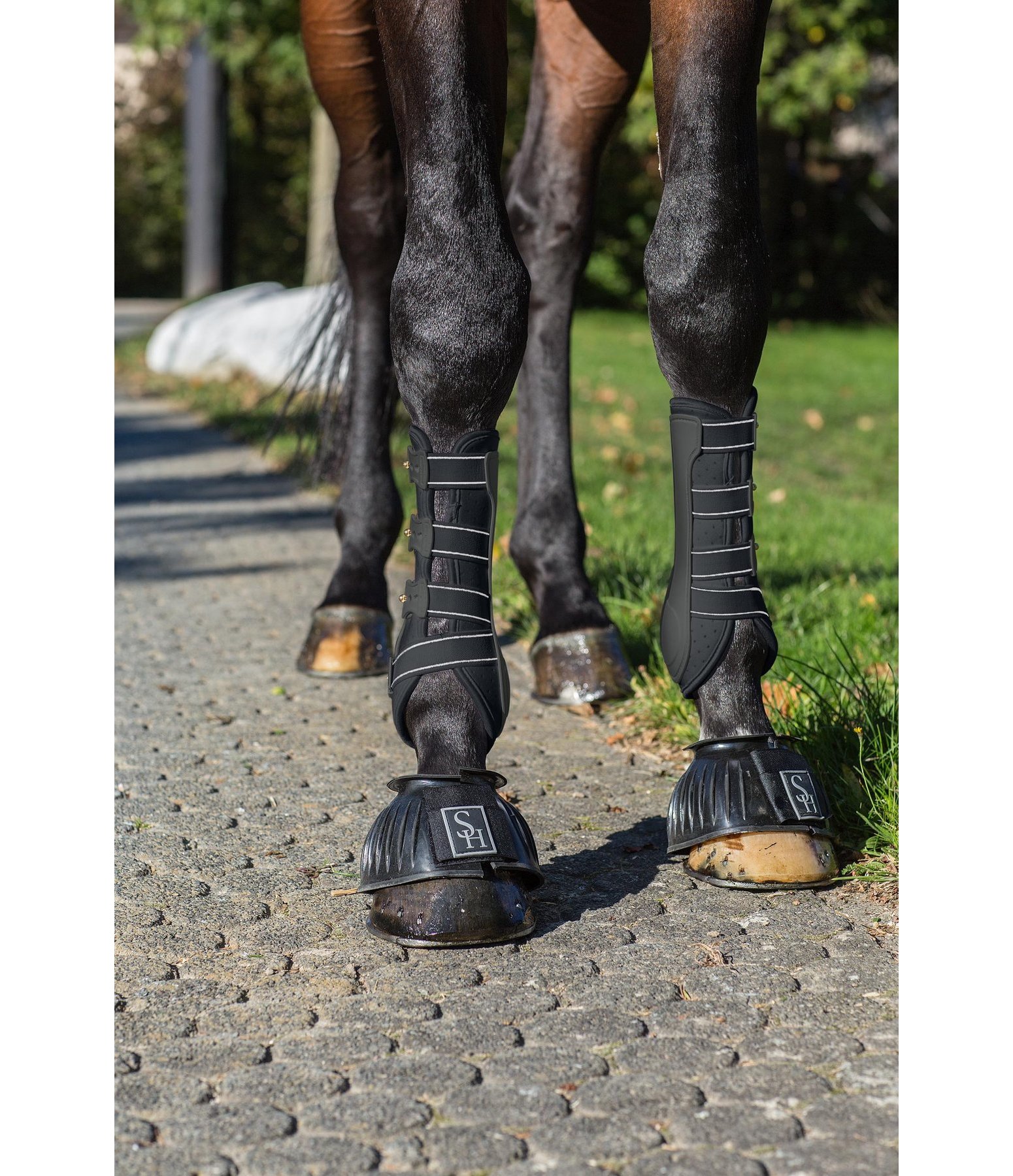 Dressage Boots Perfect Protection