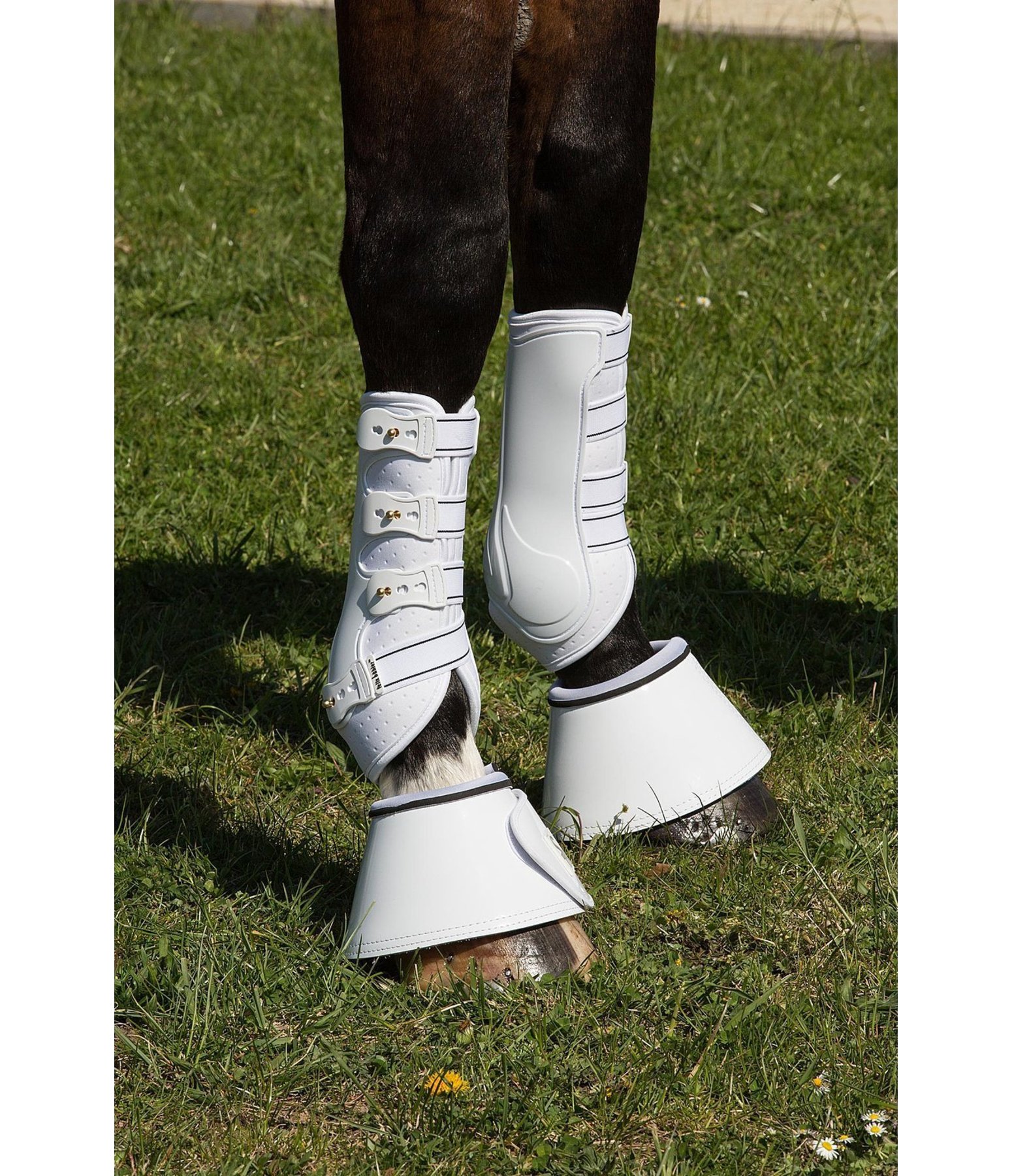 Dressage Boots Perfect Protection