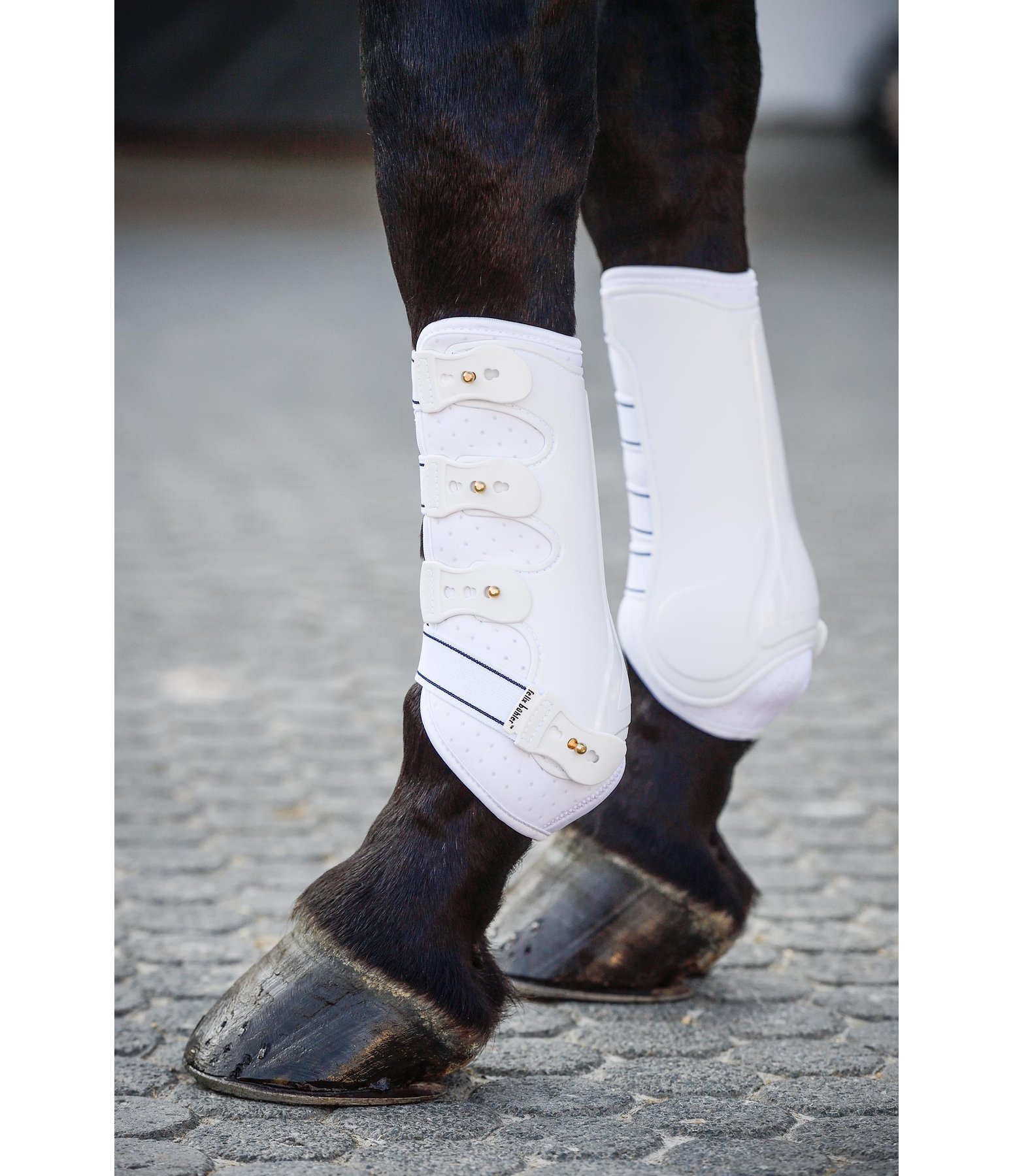 Dressage Boots Perfect Protection