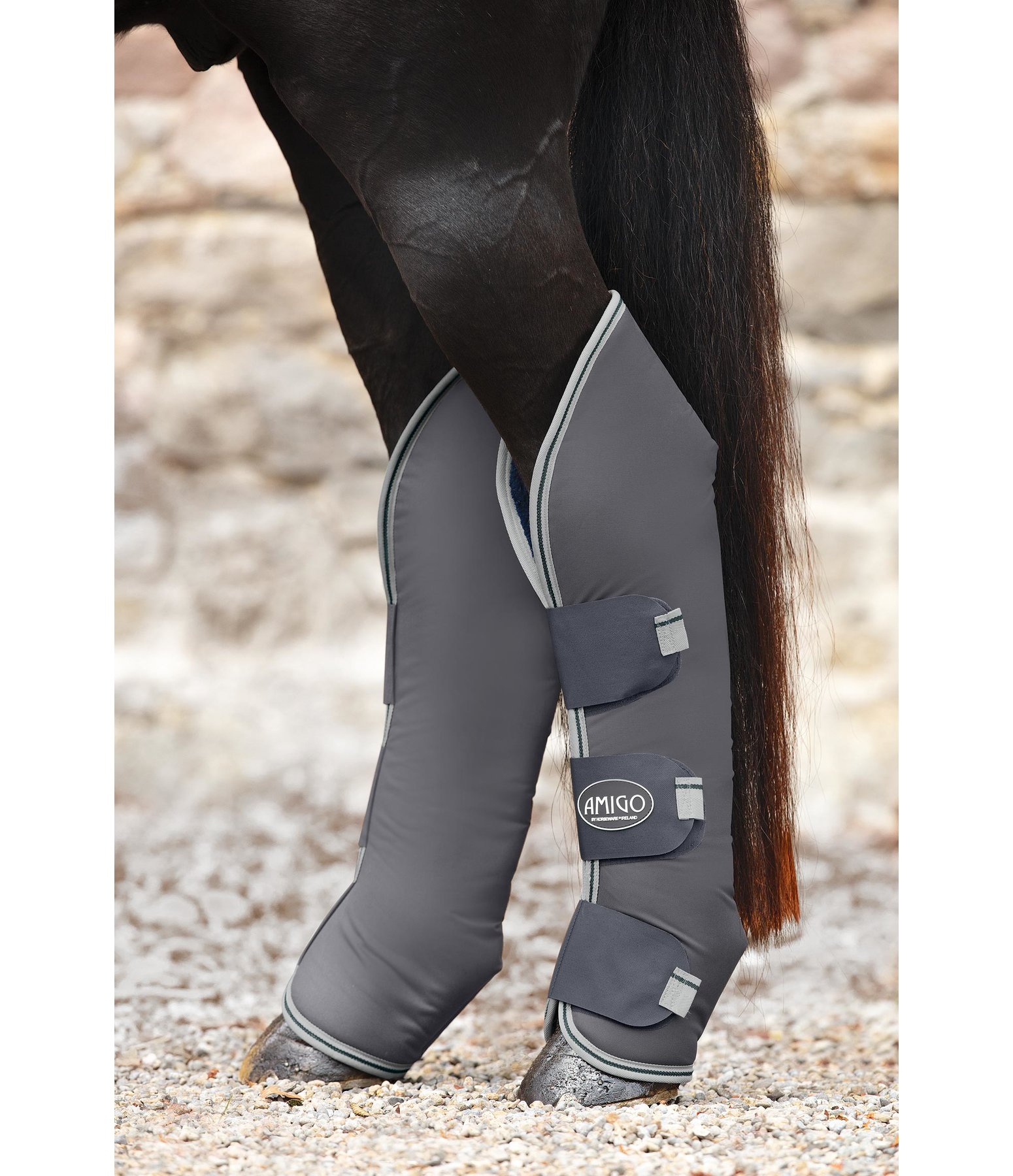 AMIGO Travel Boots, Set of 4 Stable & Travel Boots Kramer Equestrian