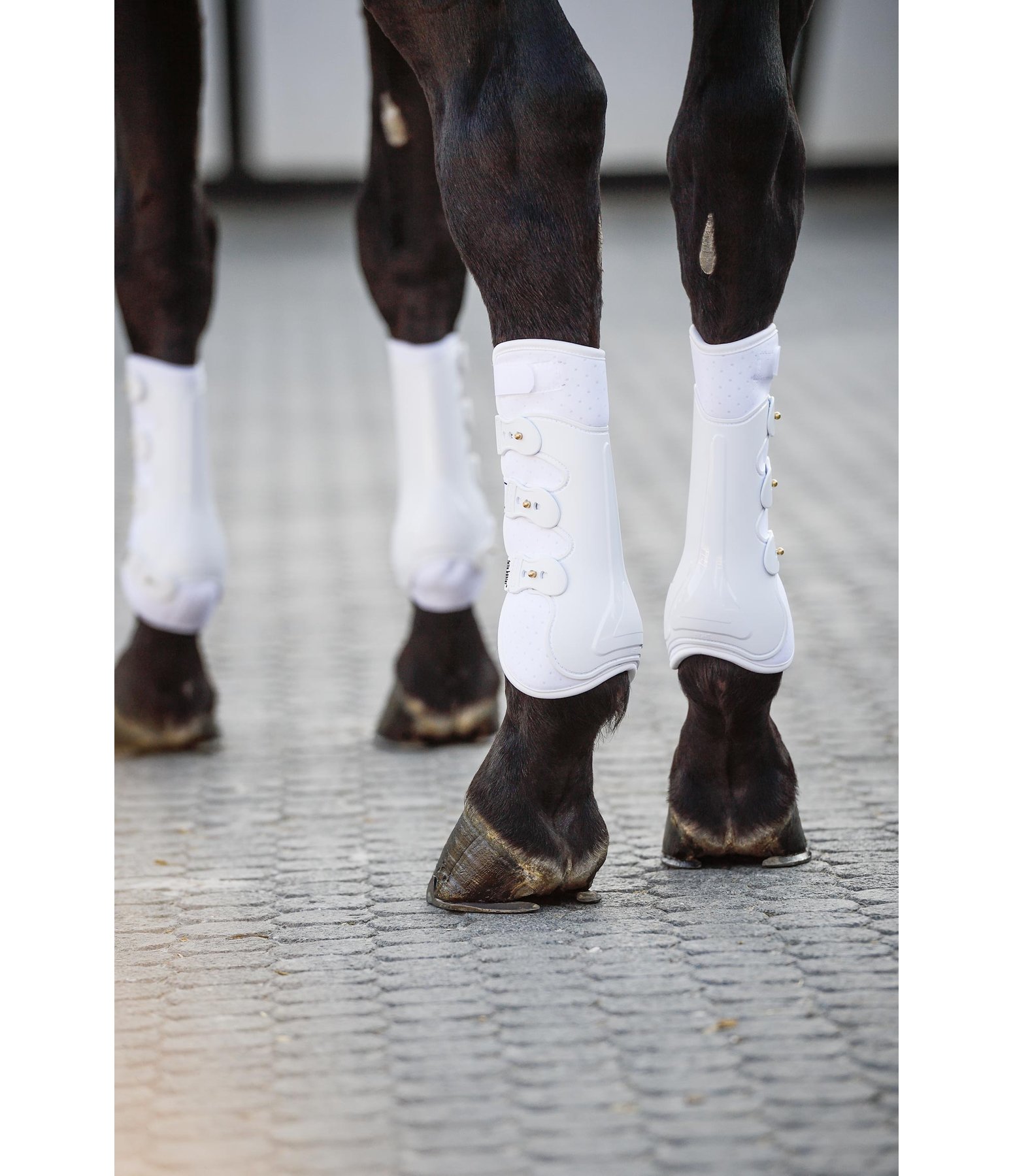 Perfect Protection Dressage Boots, hind legs