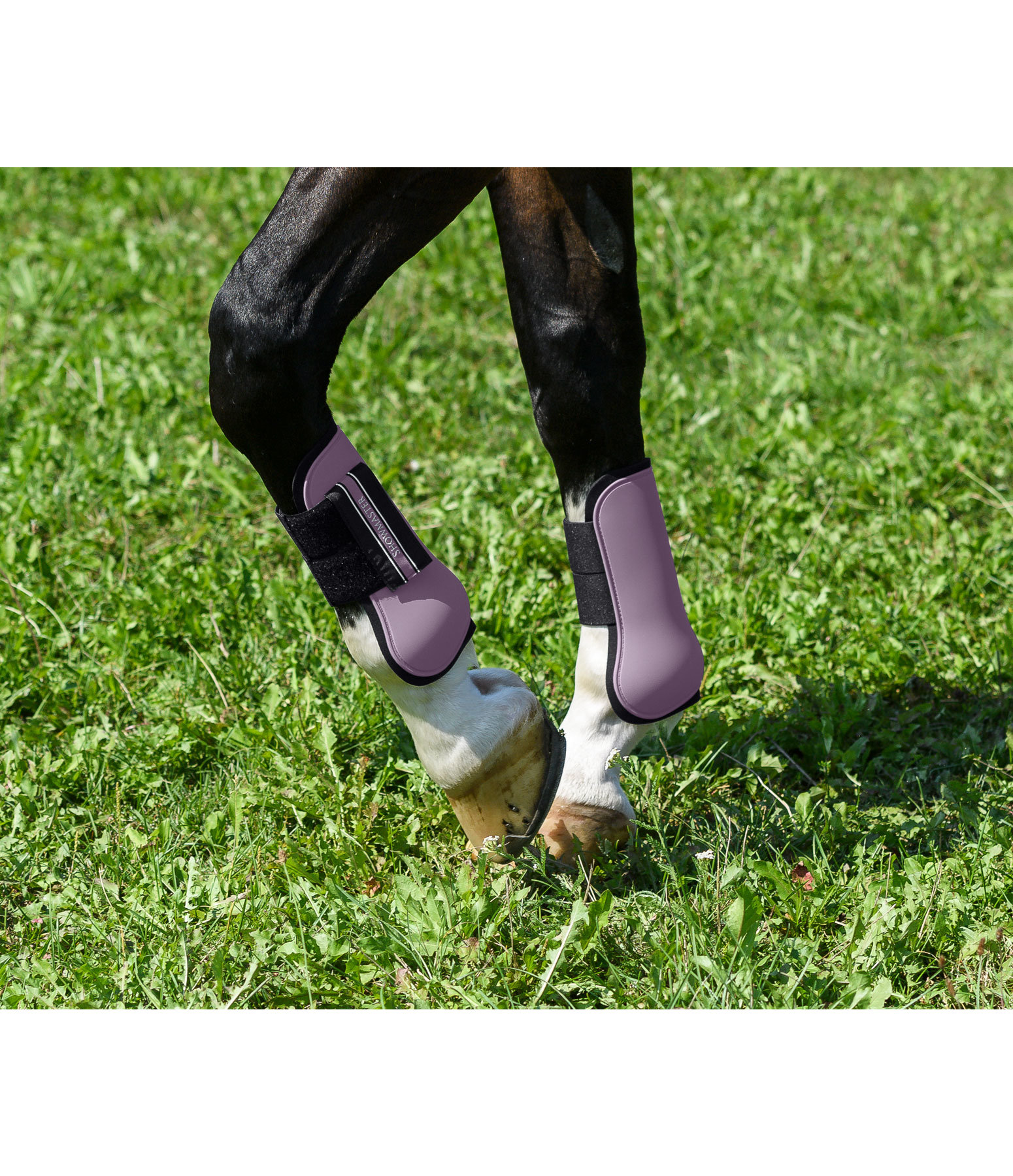 Tendon Boots Boots Kramer Equestrian