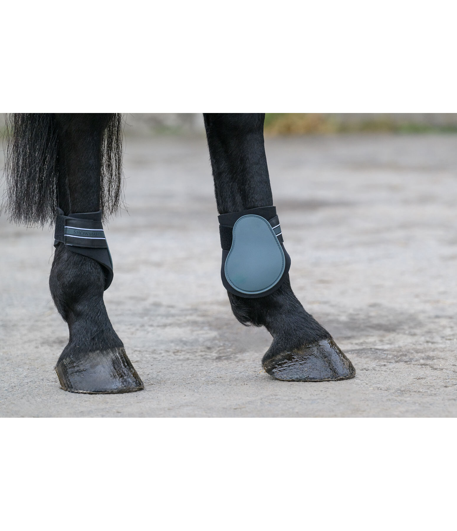Fetlock Boots