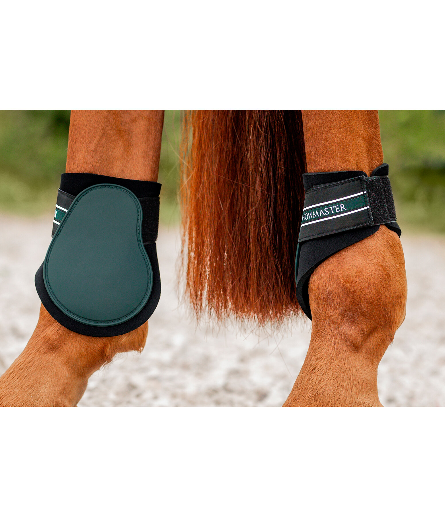 Fetlock Boots