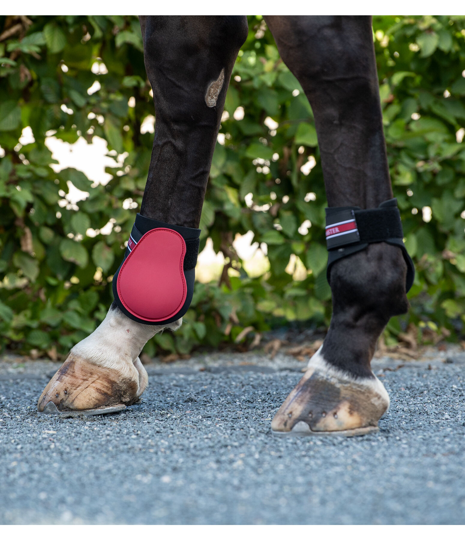 Fetlock Boots