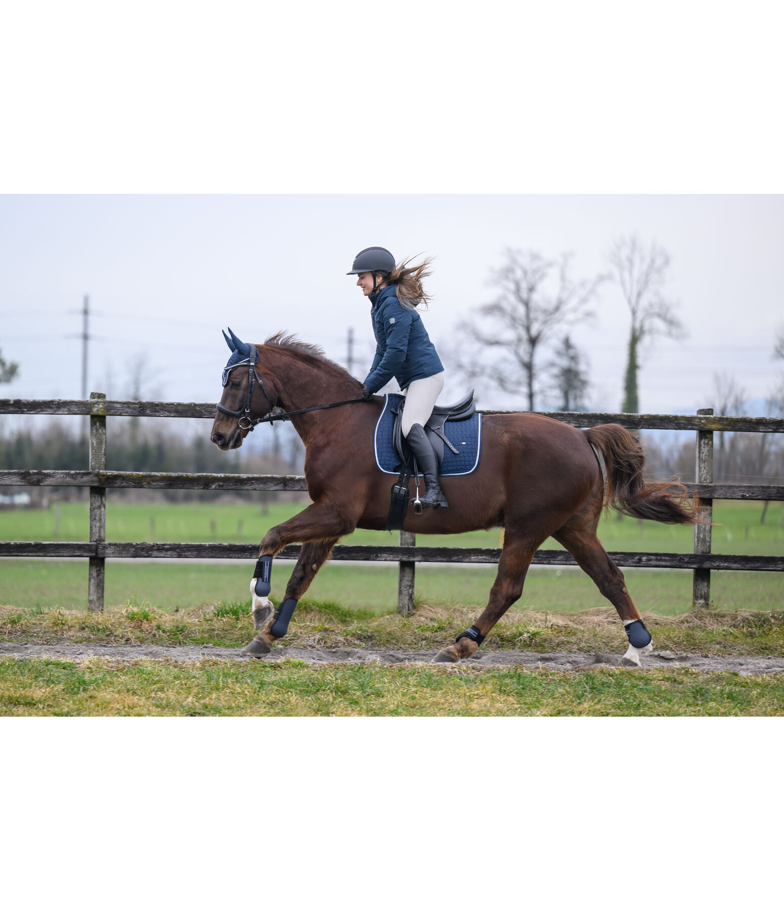 Fetlock Boots