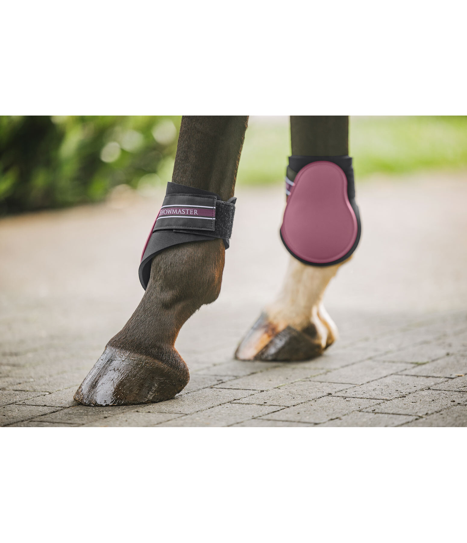 Fetlock Boots