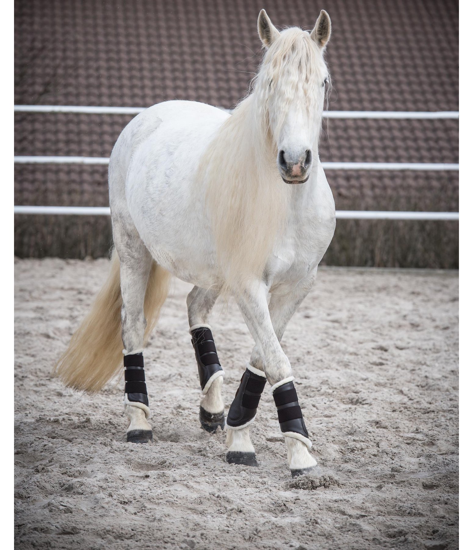 Dressage Boots Teddy Fleece, front legs