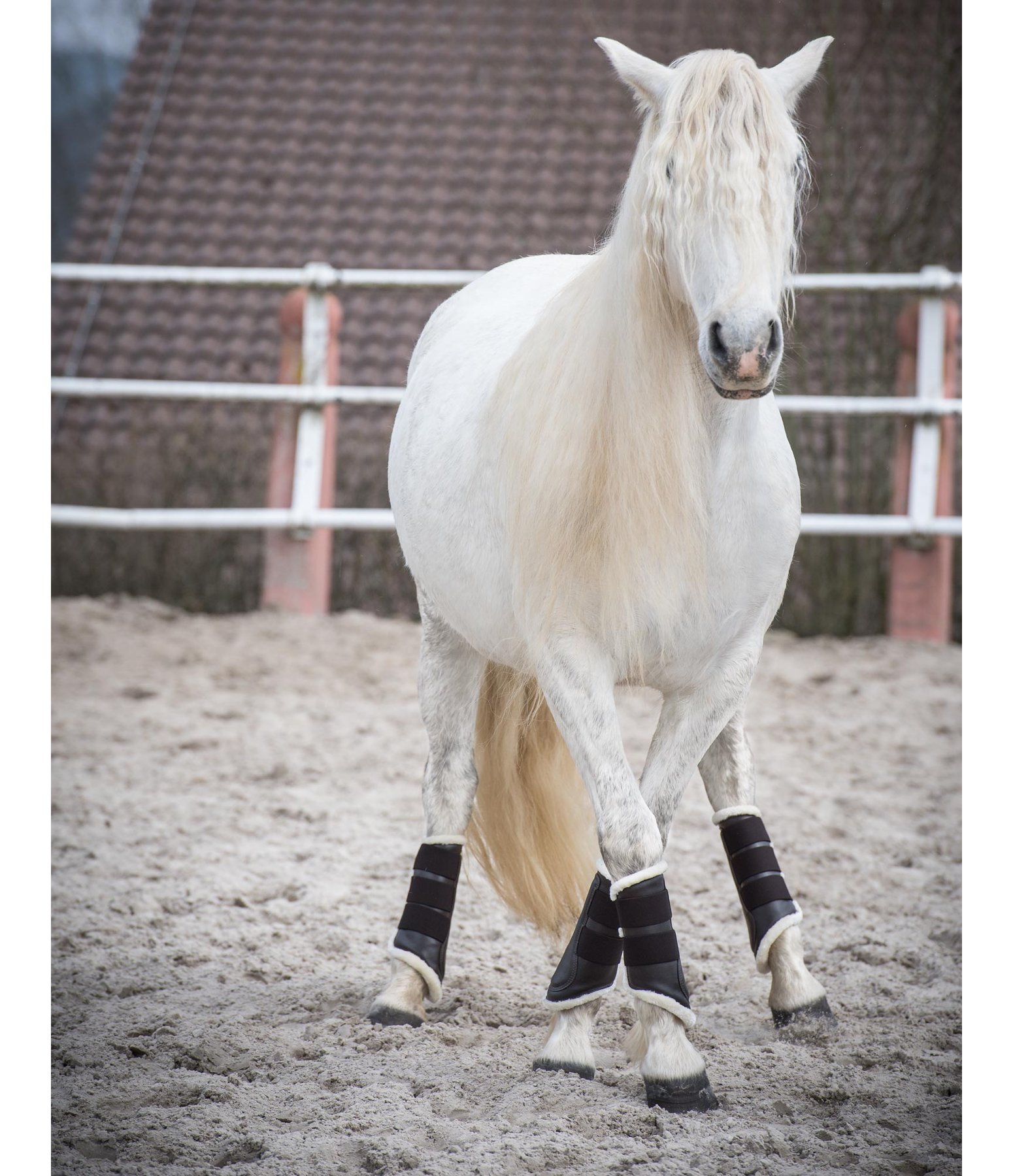 Dressage Boots Teddy Fleece, front legs